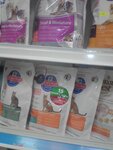1cat.ru (Izyumskaya Street, 37к2), pet shop