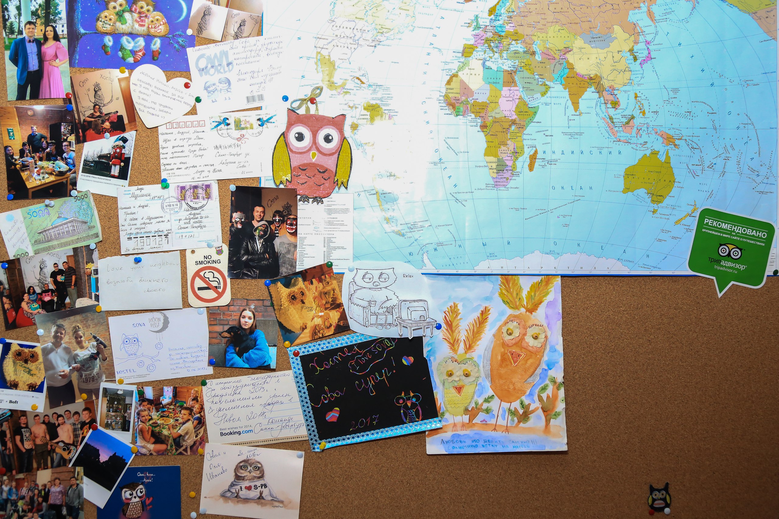 Фото Сова Хостел