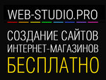 Web-Studio Pro (Svetlanskaya Street, 83) ، استوديو تصميم المواقع