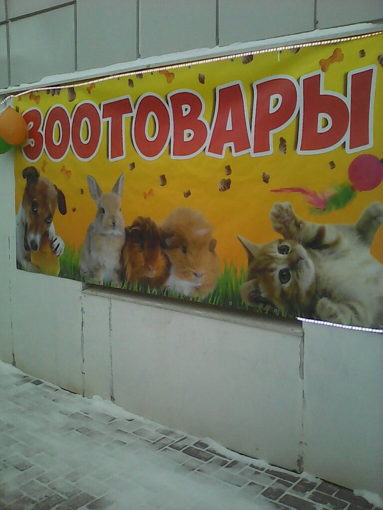 Магазин Для Животных Рядом Со Мной Москва
