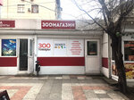 Petshop SochiPets.ru (Plastunskaya Street, 2к1), pet shop