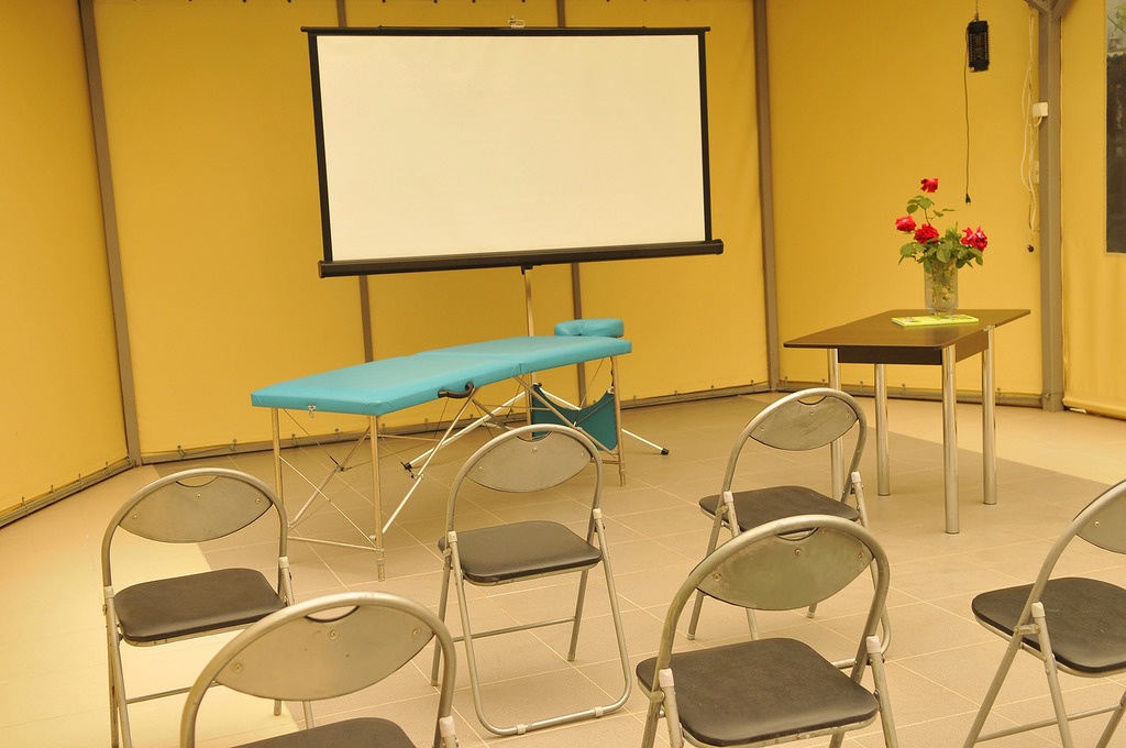 Фото Афалина