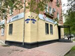 LevelUp (Krasnoarmeyskaya Street, 159) ، دورات لغة أجنبية