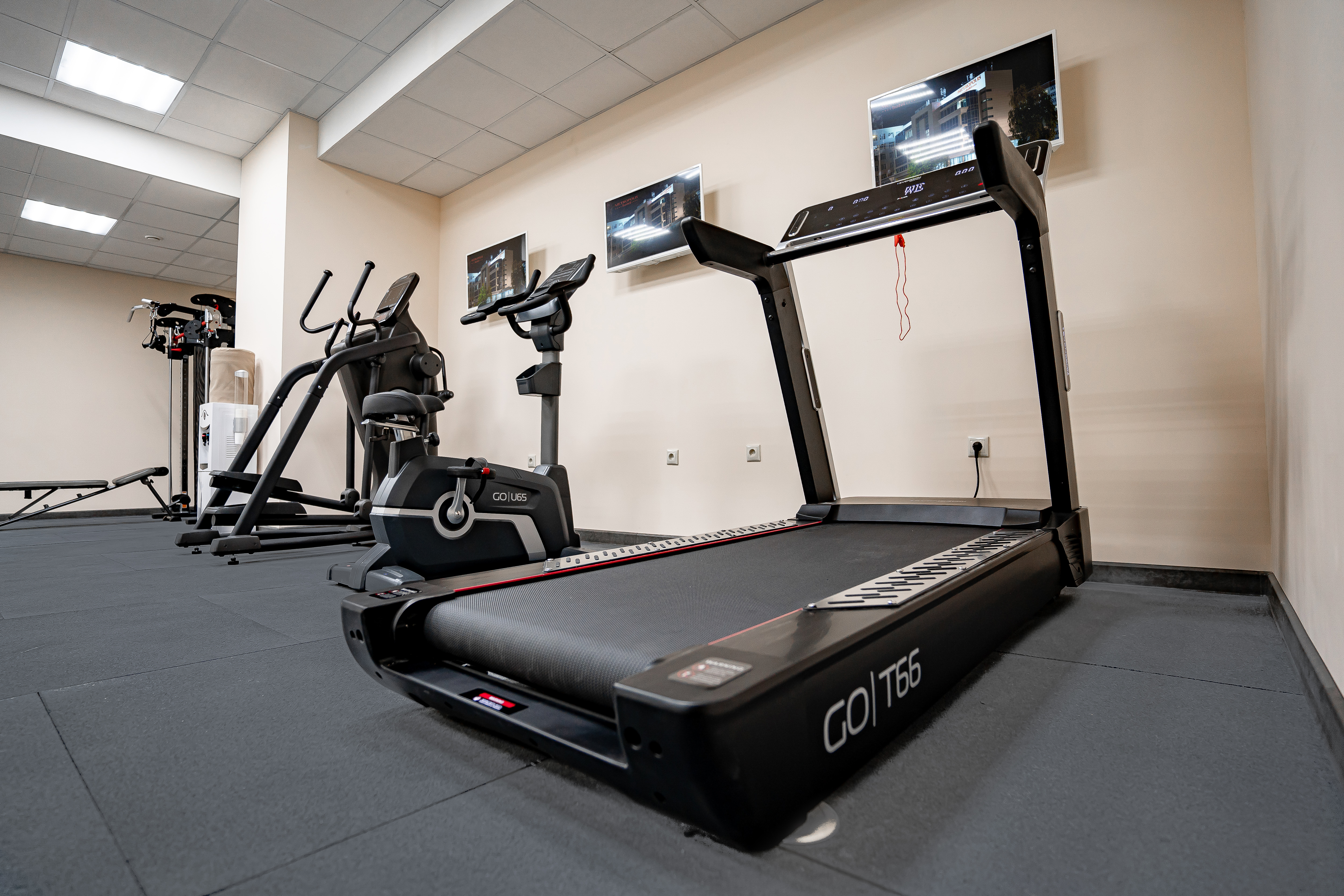 Фото Метрополис