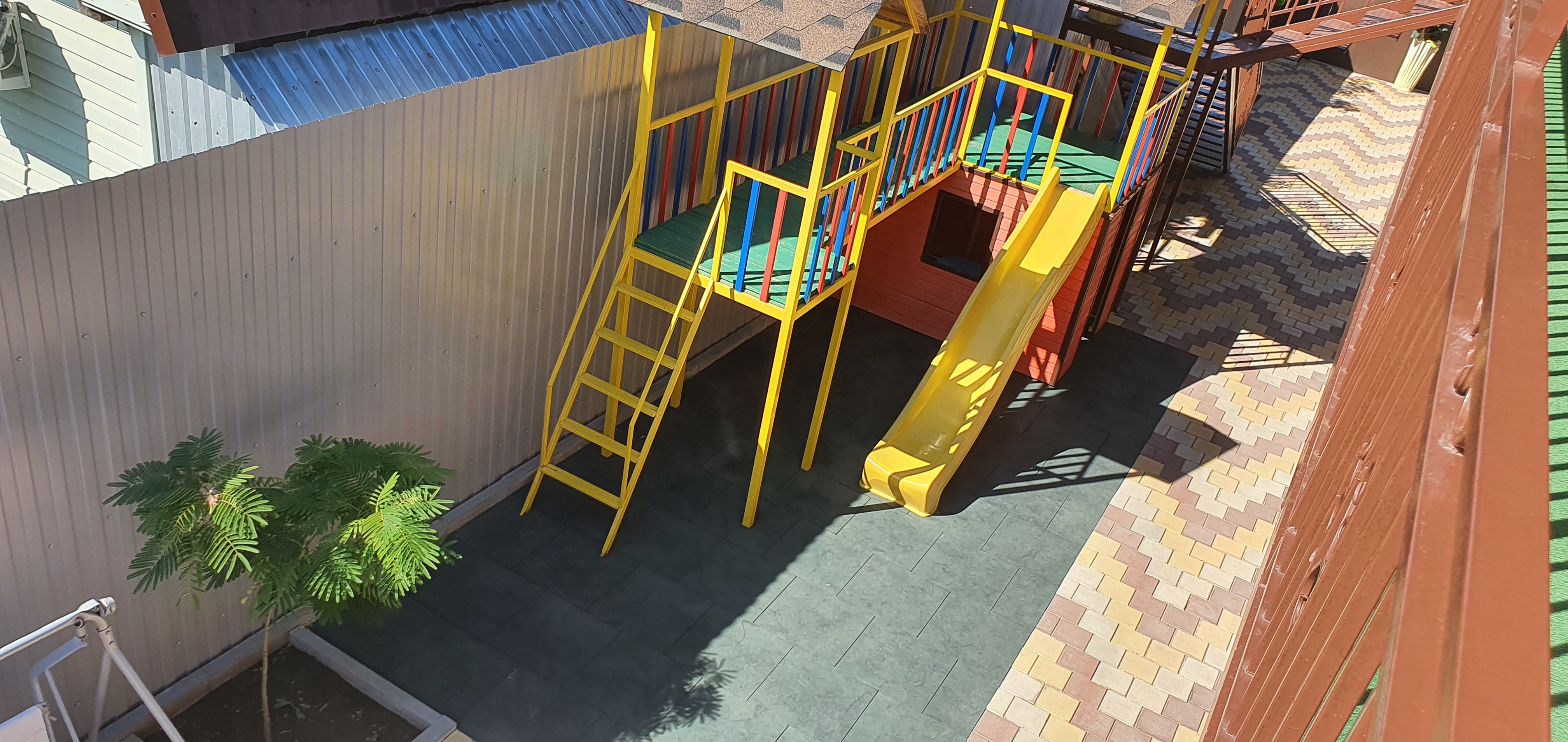 Фото Мандарин