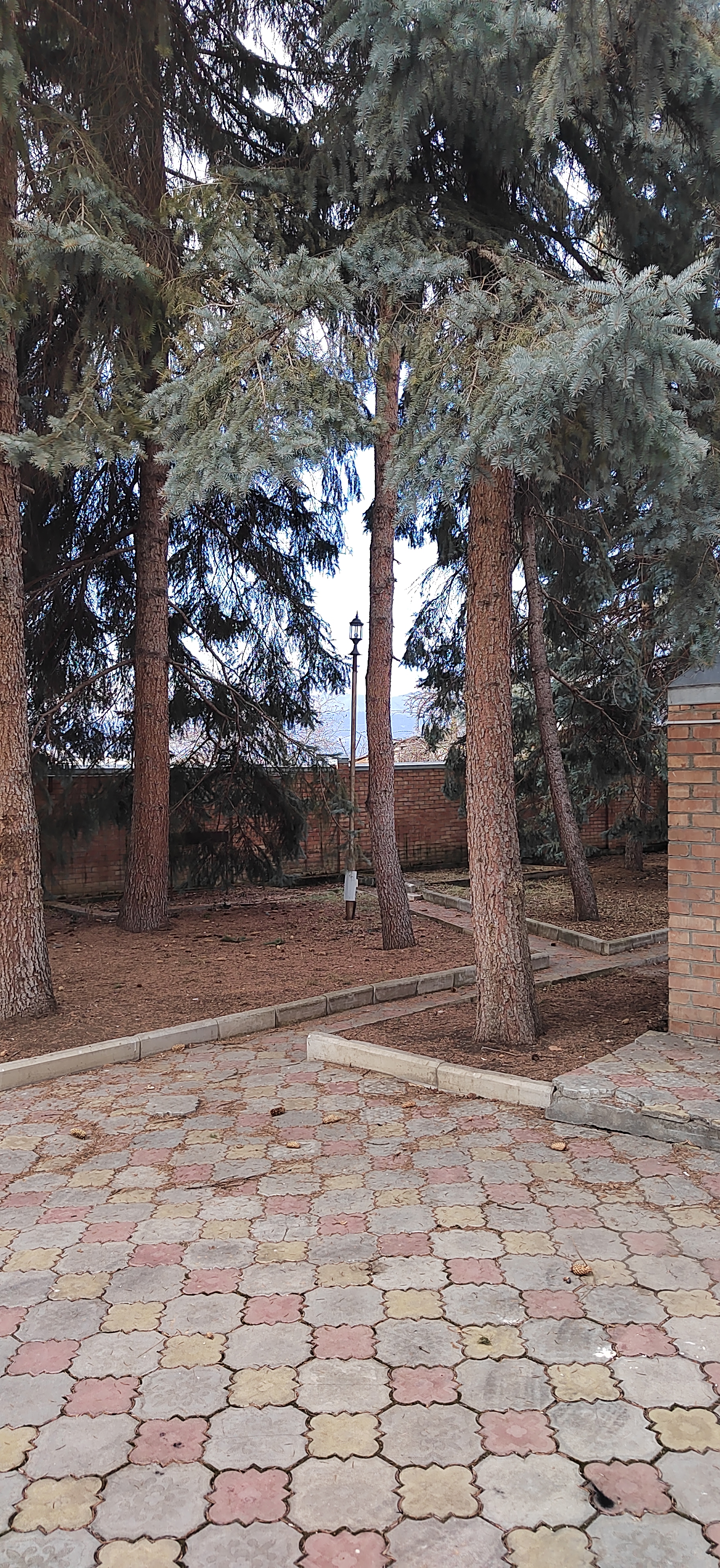 Фото Бешпагир