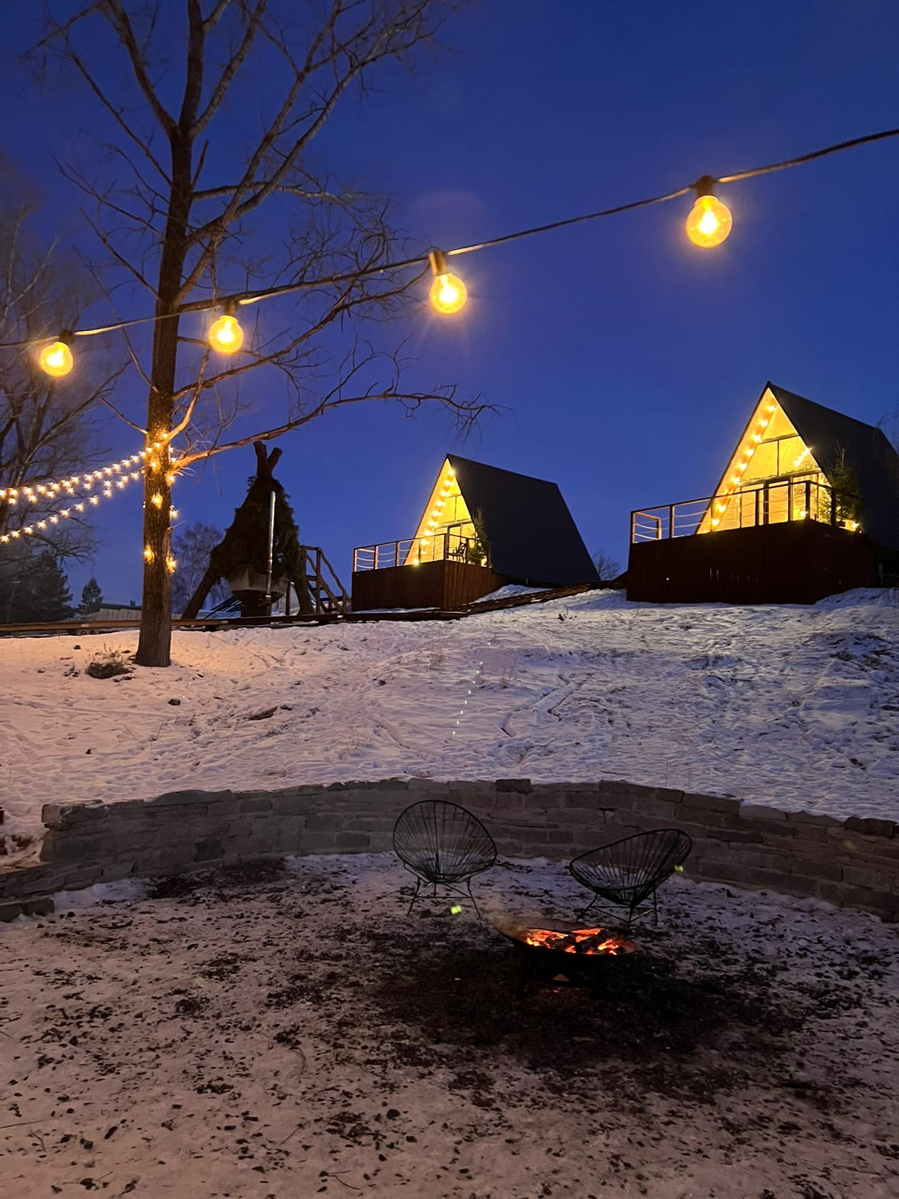 Фото Лес Да Река