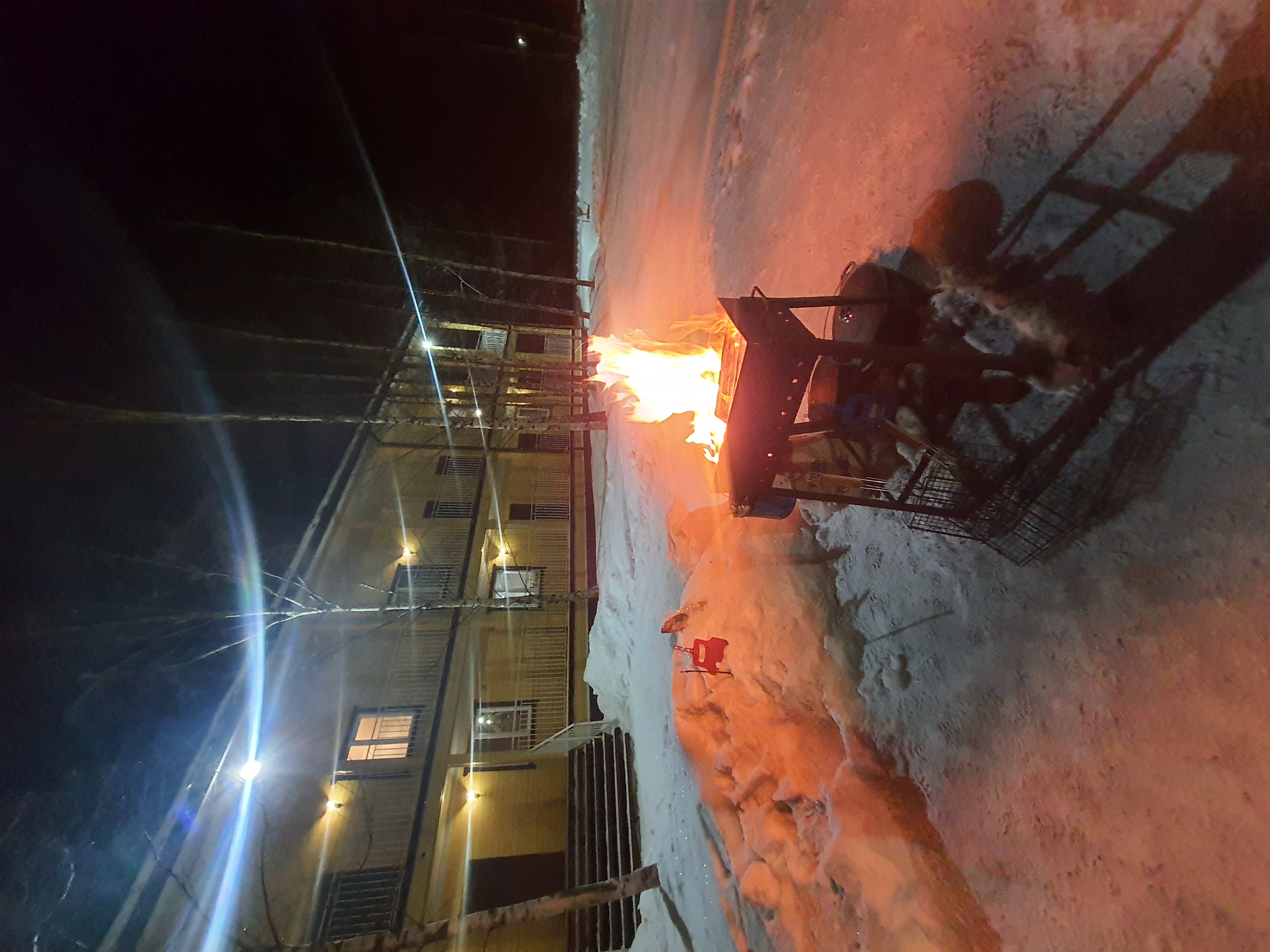 Фото Березки