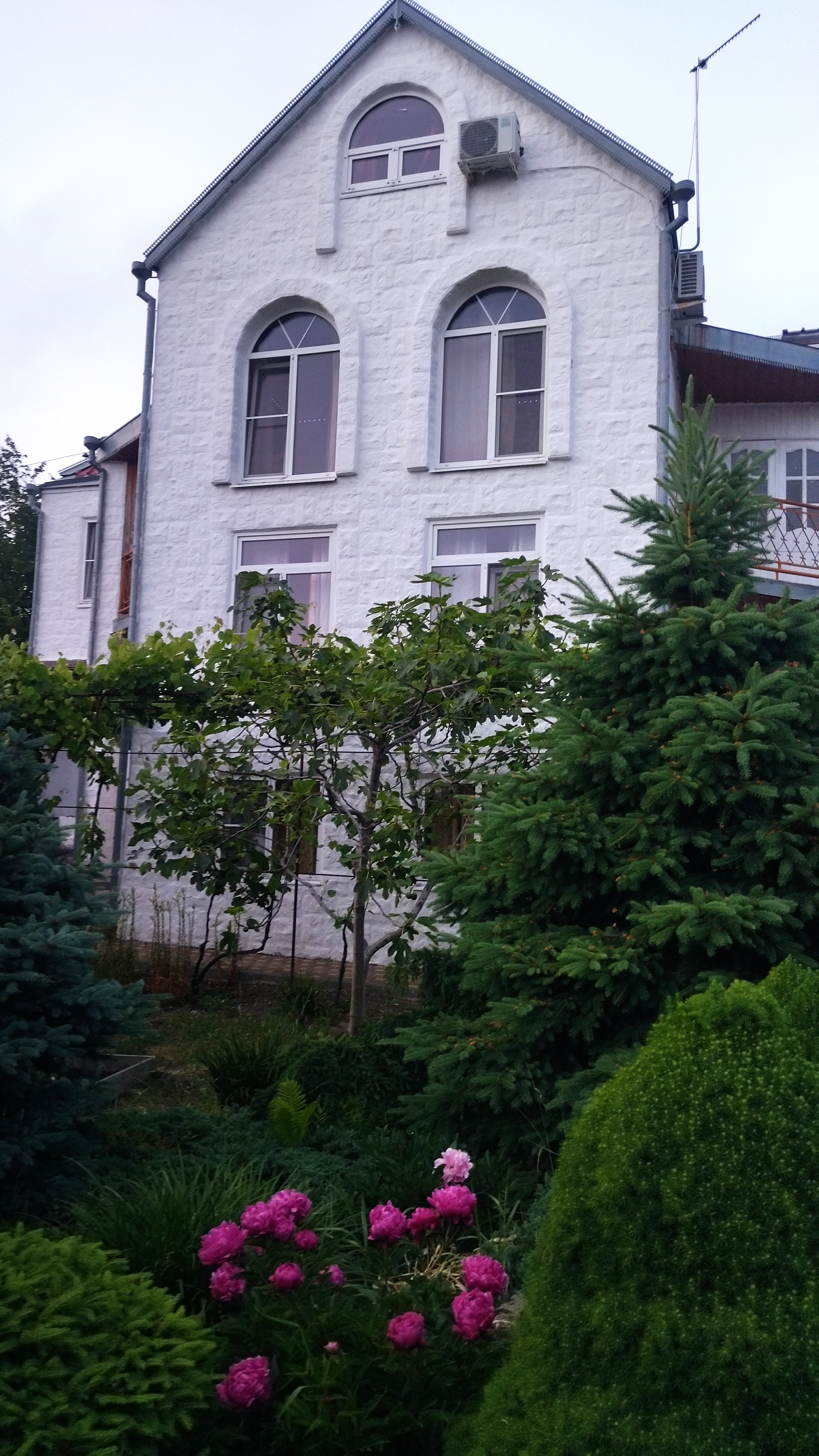 Фото Диана