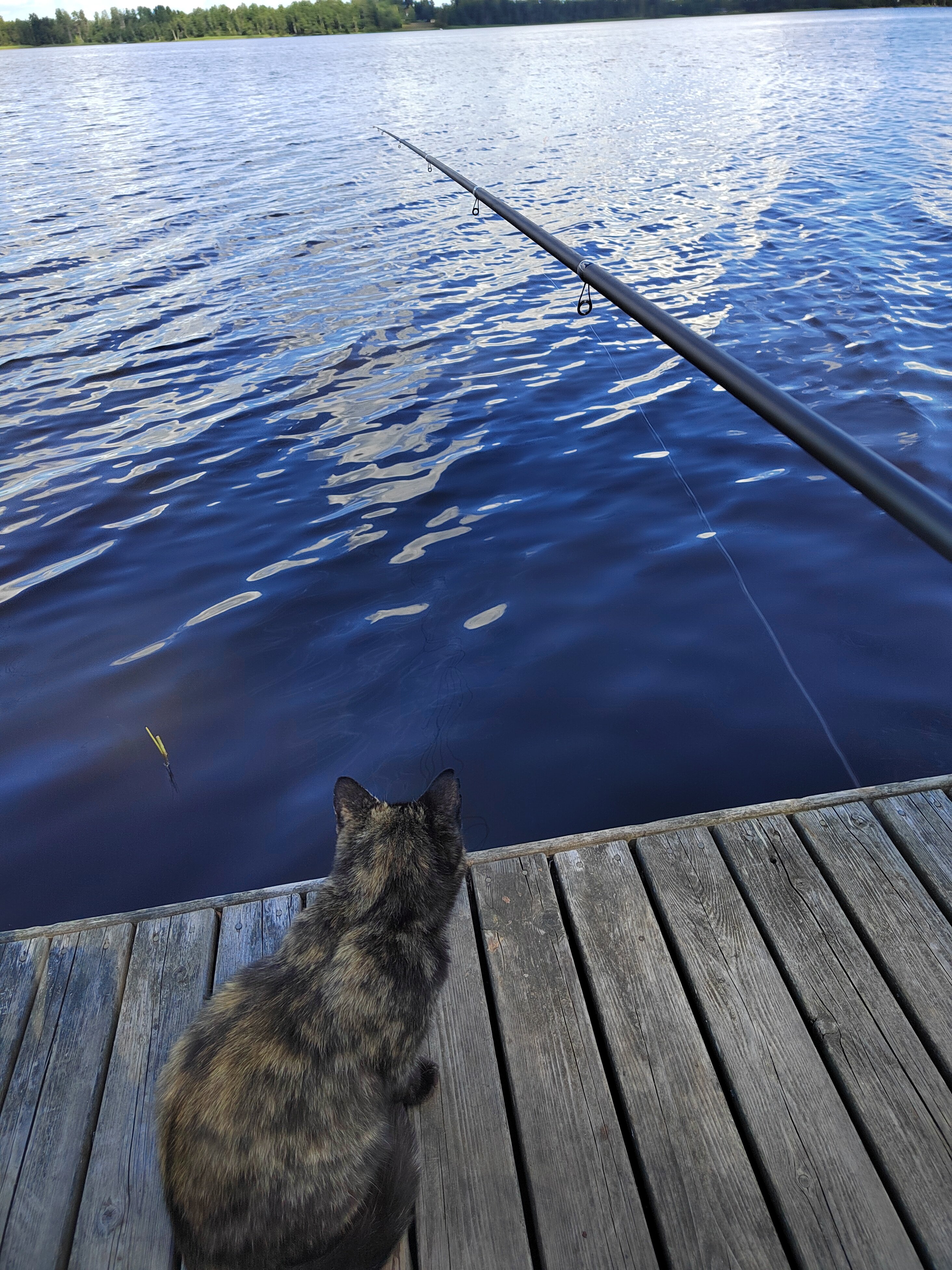 Фото Коттеджи Правдинский причал