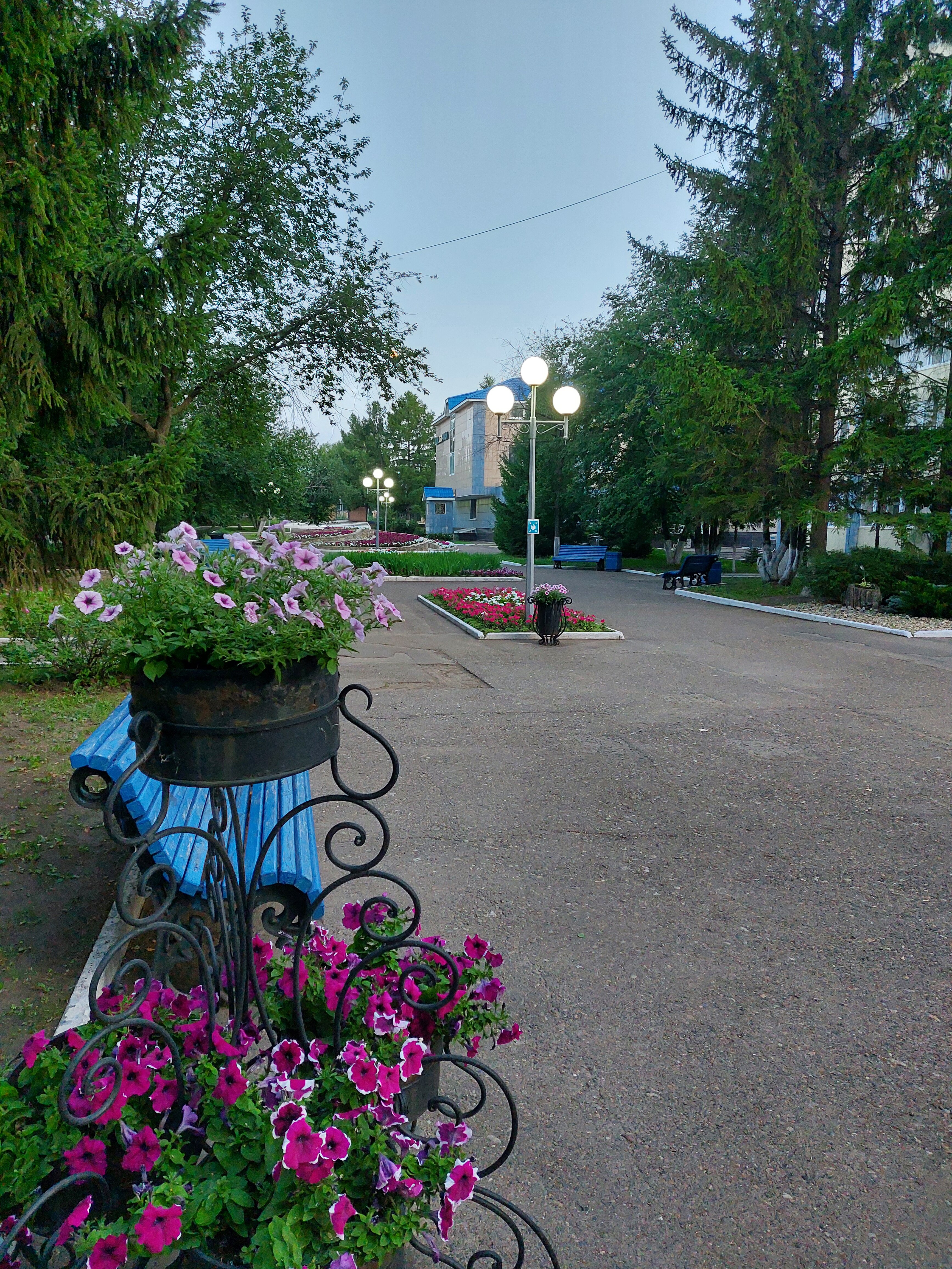 Фото Шифалы