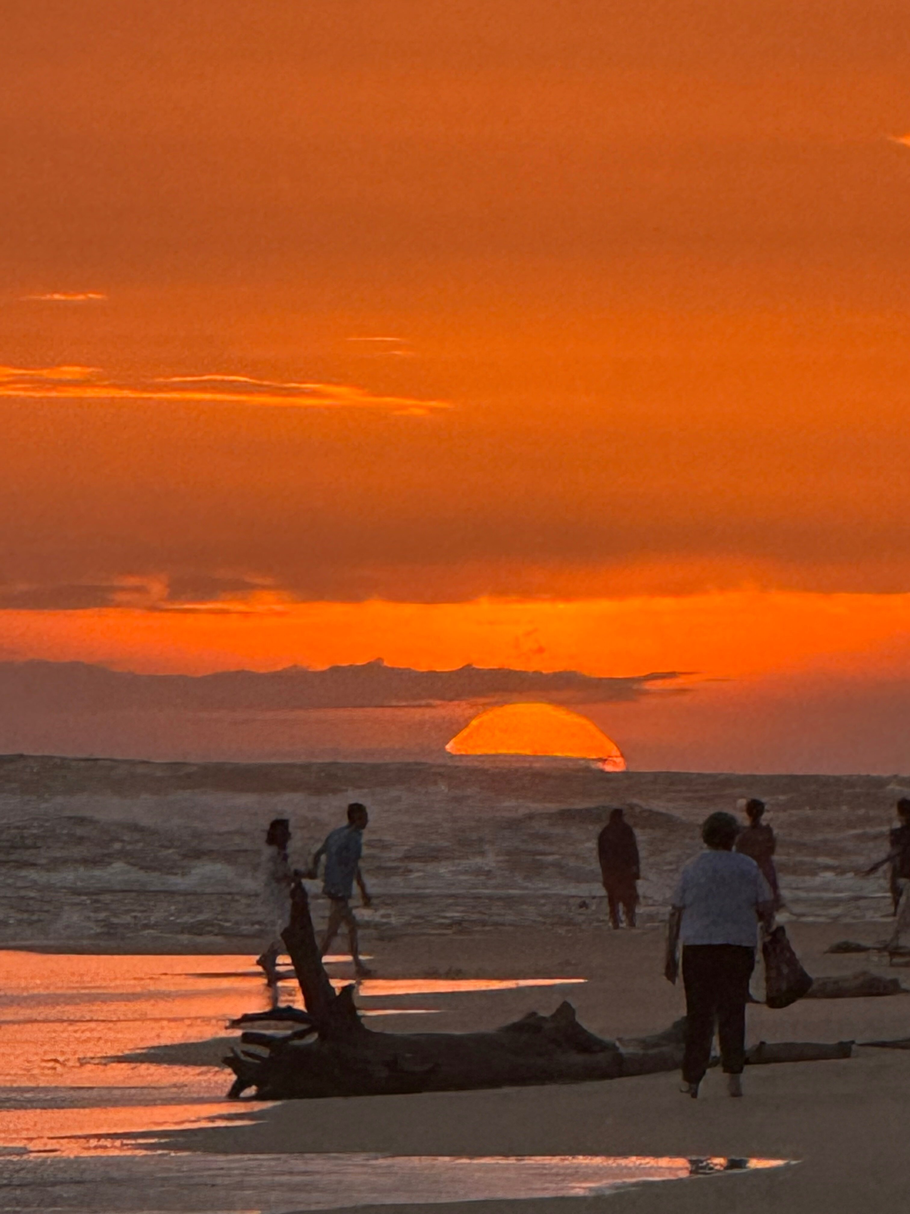 Фото Occidental Eden Beruwala