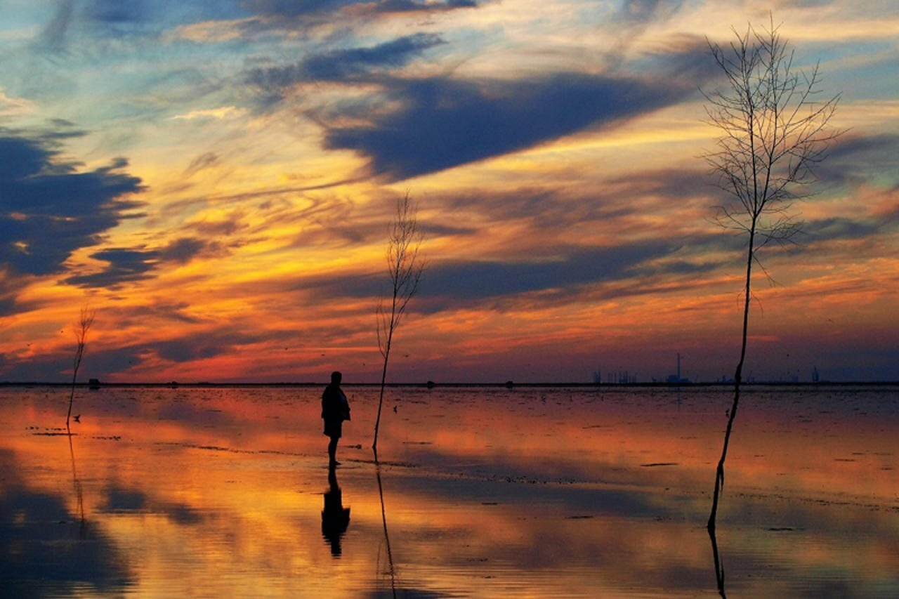 Фото 118945088283