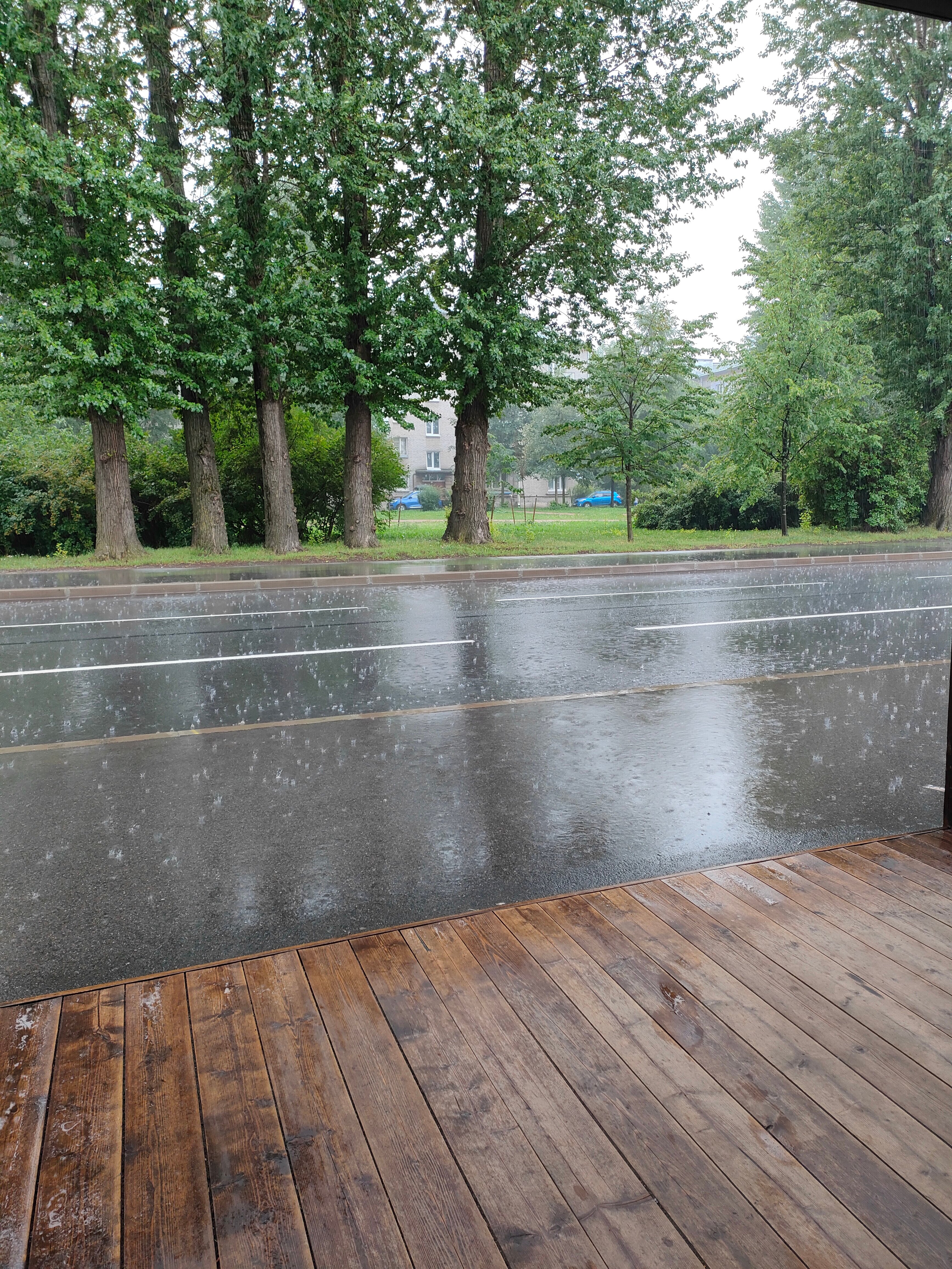 Фото Екатерингоф