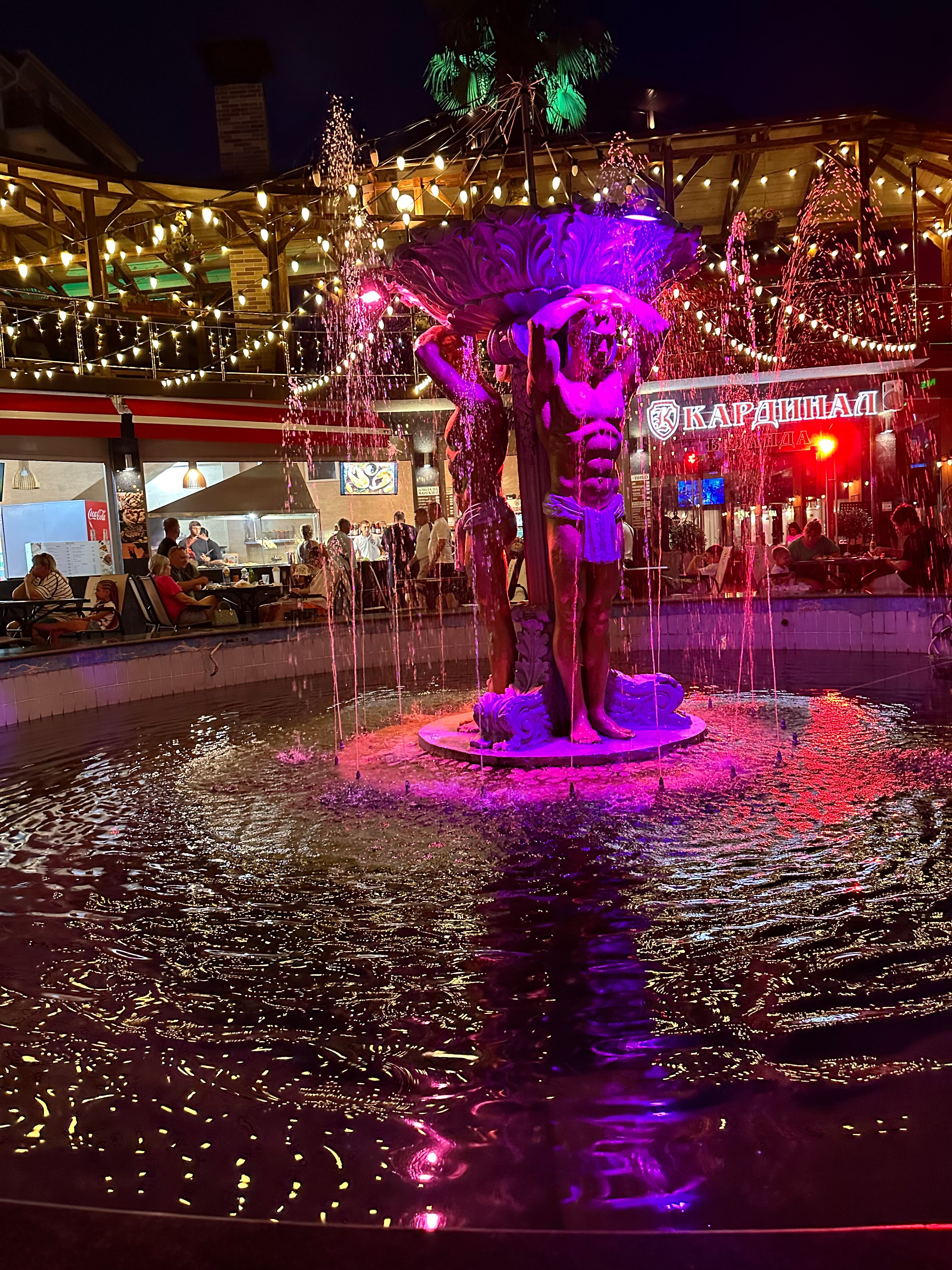 Фото Кардинал