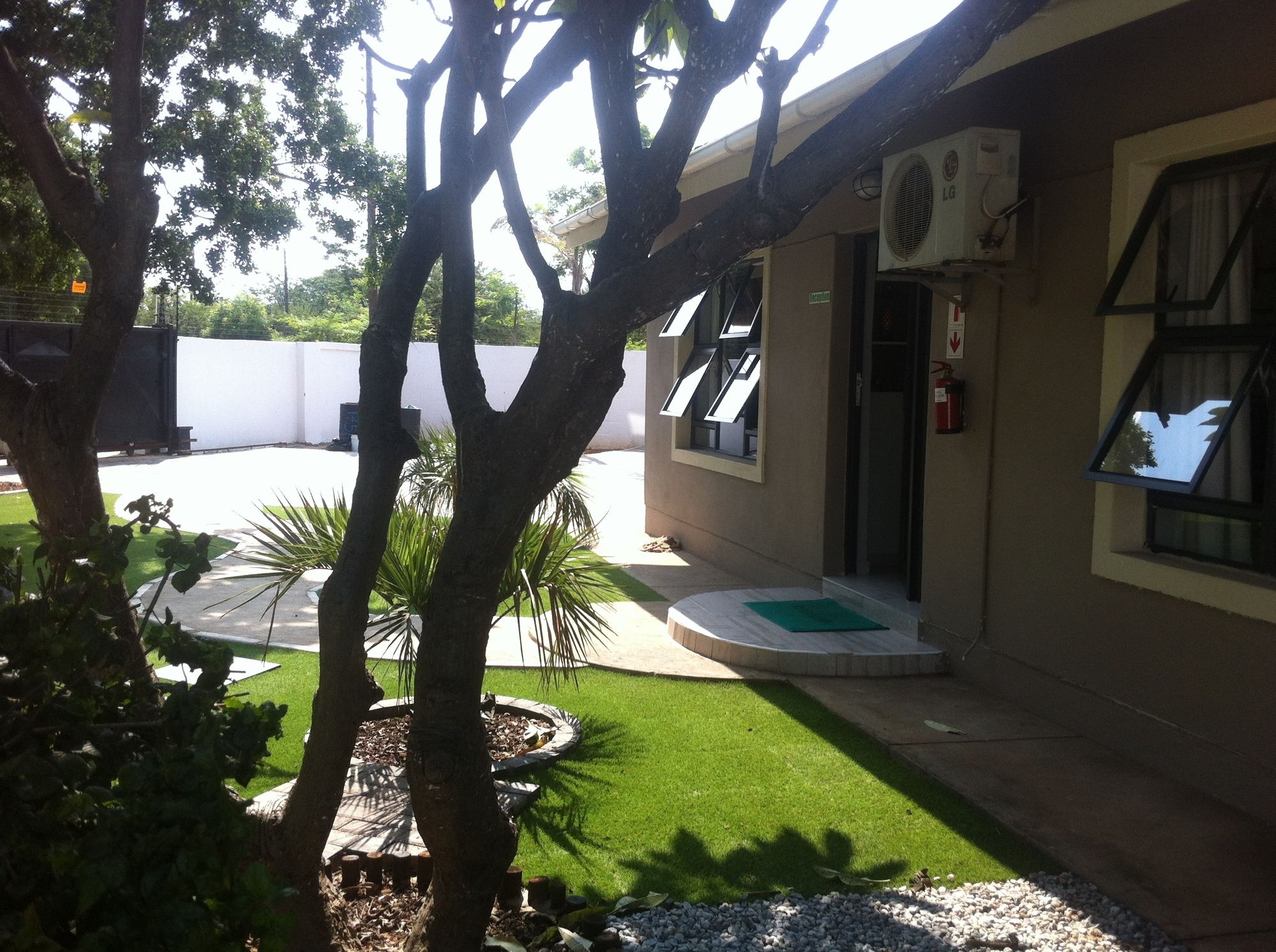 Фото Cosy Palms Guest House