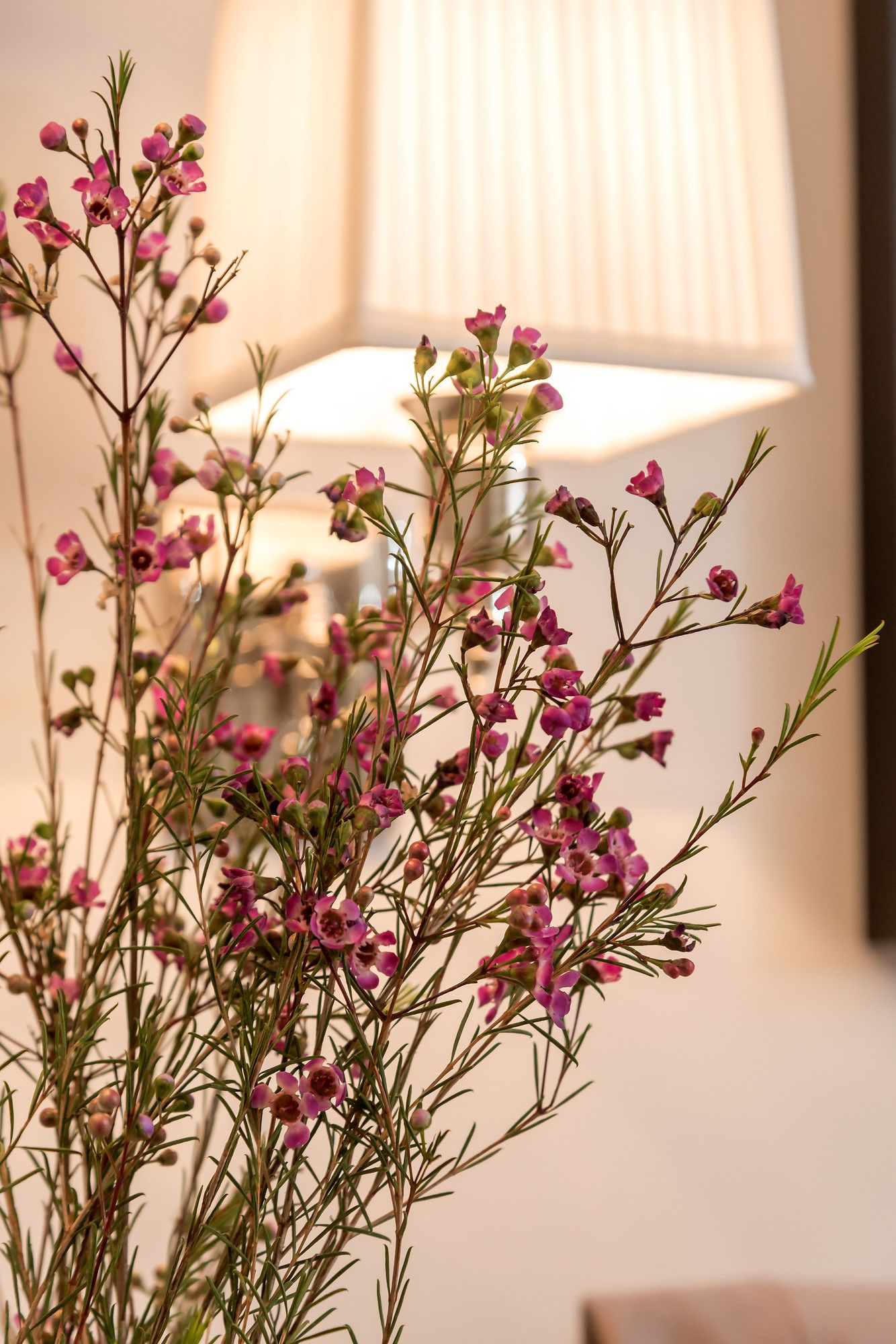 Фото Heritage Hotel 19