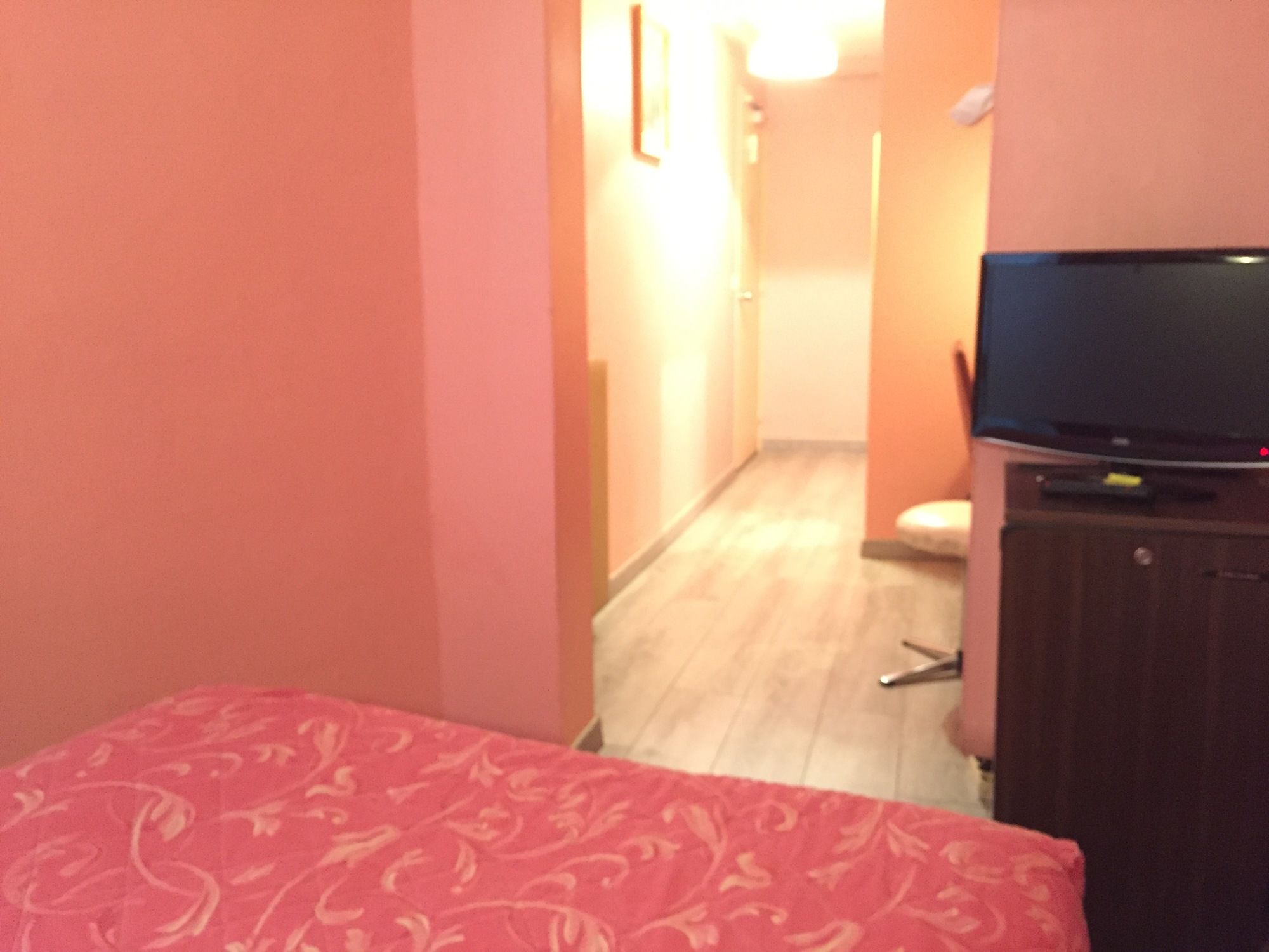 Фото Hôtel des Pyrénées