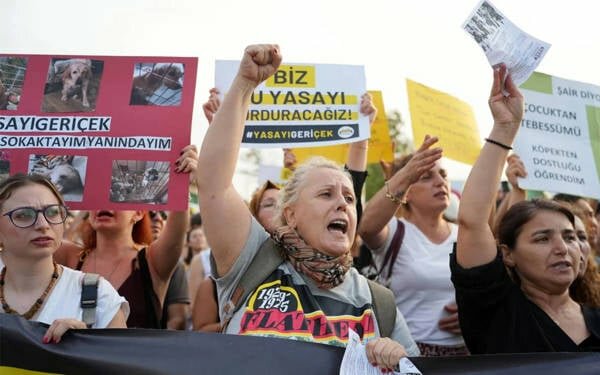 Information website Bianet Independent Communication Network, Istanbul, photo