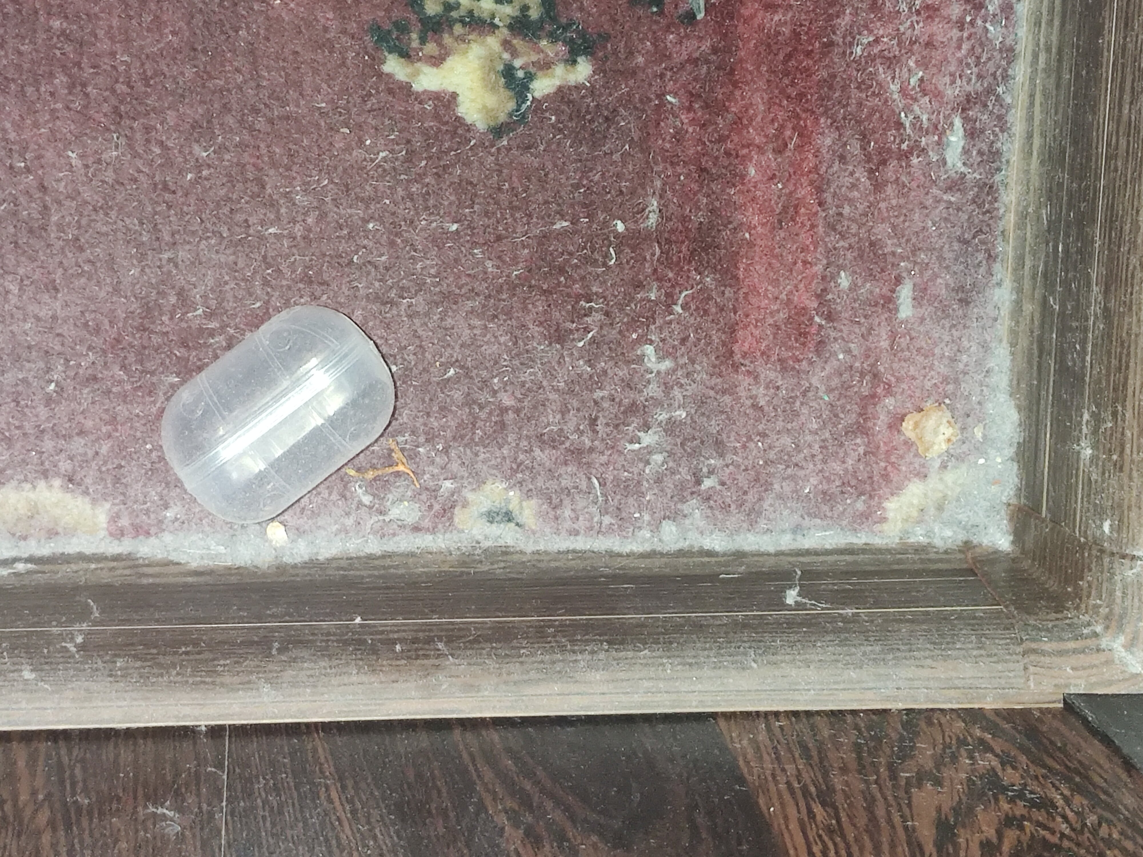 Фото Pan Tourist