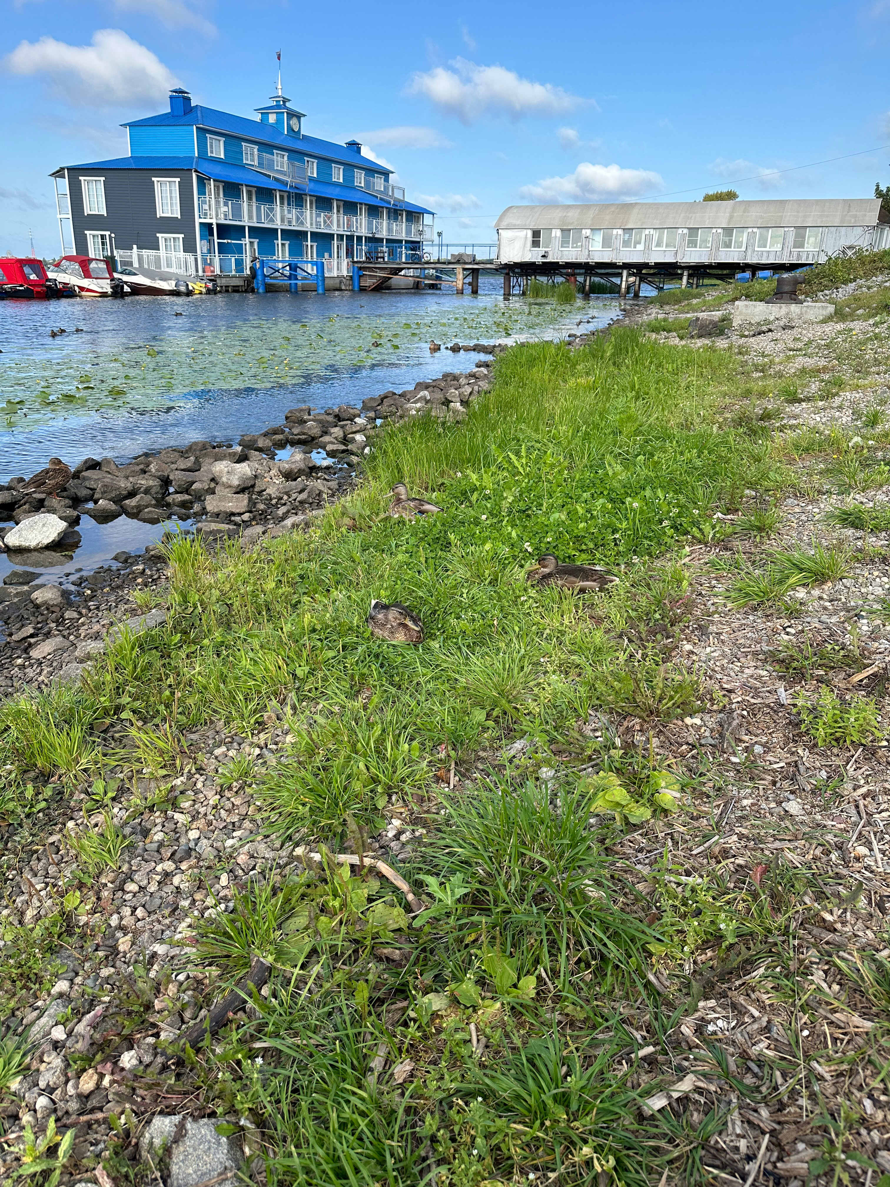 Фото Островский причал