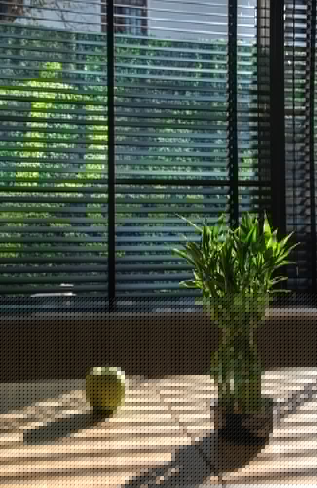 Фото Rosslyn Thracia Hotel