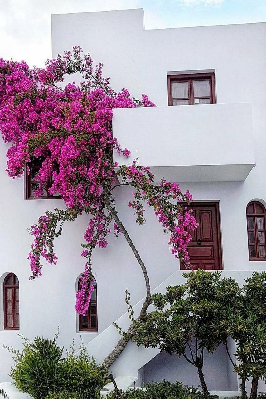 Фото Vedema, a Luxury Collection Resort, Santorini