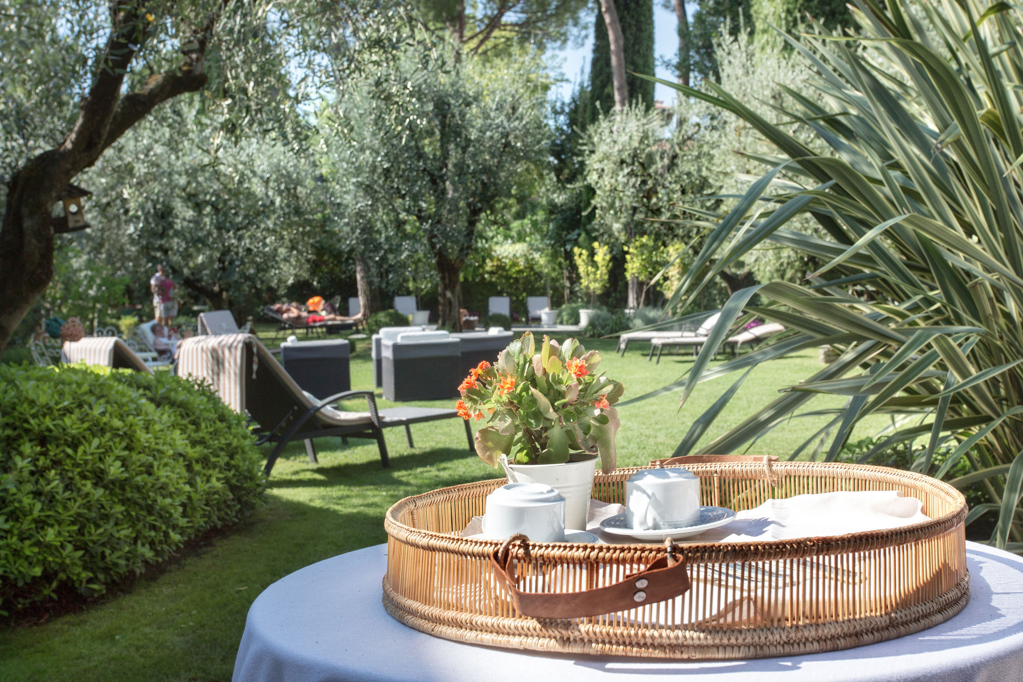 Фото Hotel Piccola Vela