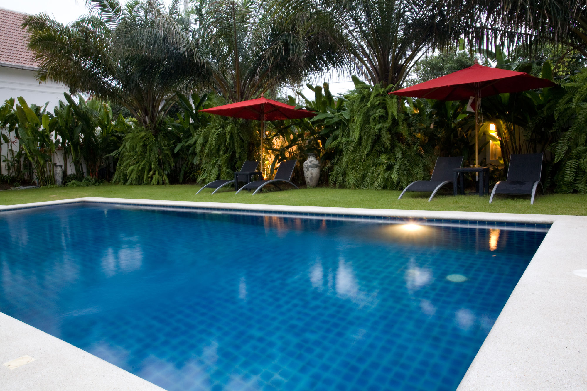 Фото Palm Grove Resort