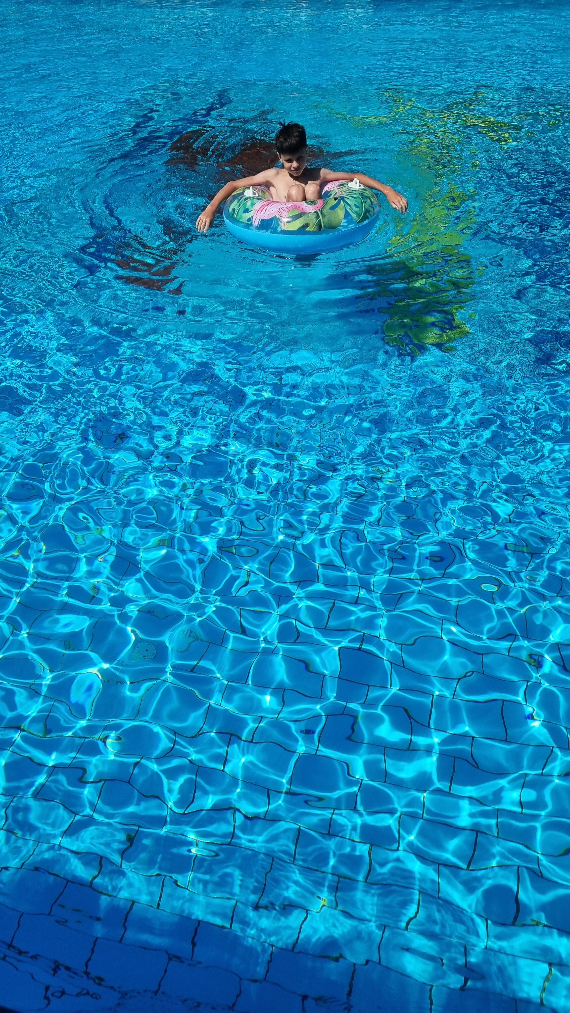 Фото Берег солнца