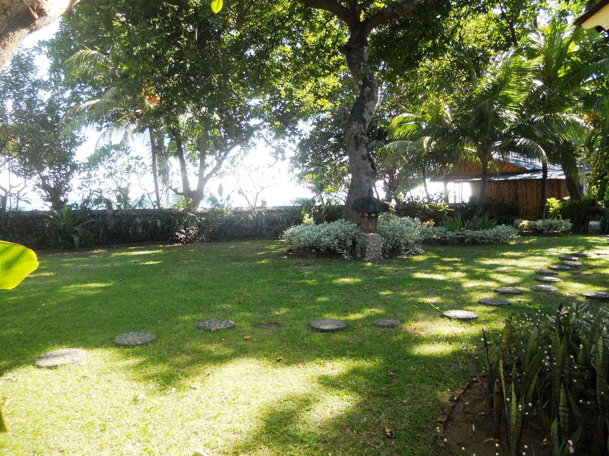 Фото Bali Lovina Beach Cottages