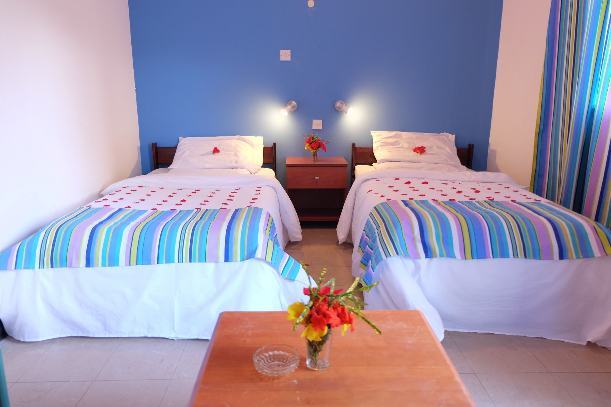 Фото Palma Rima Hotel