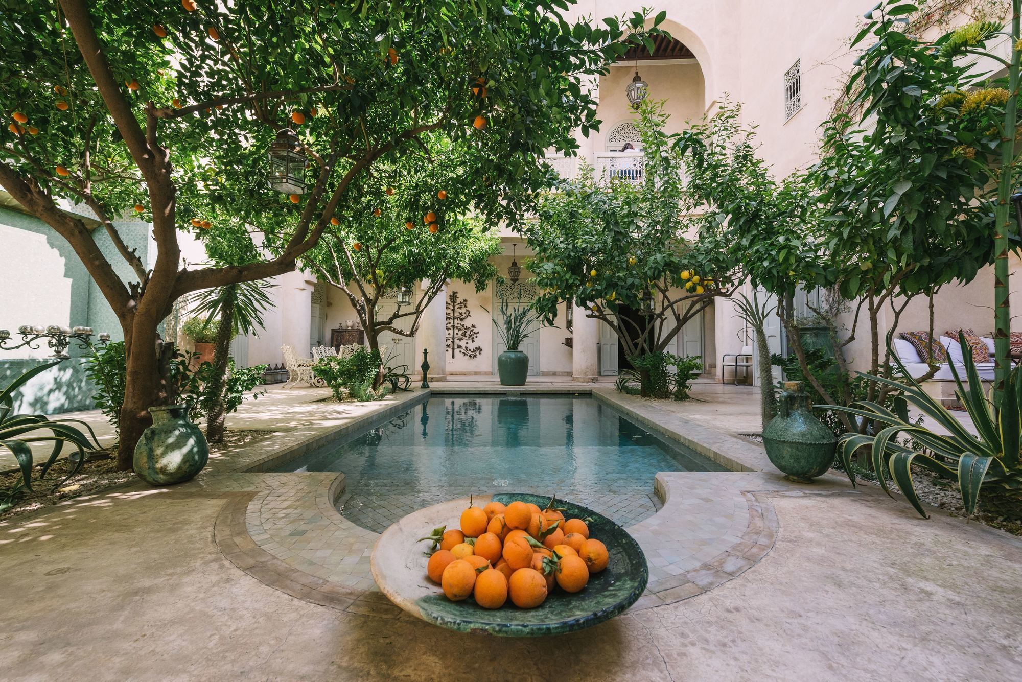 Фото Riad Emberiza Sahari