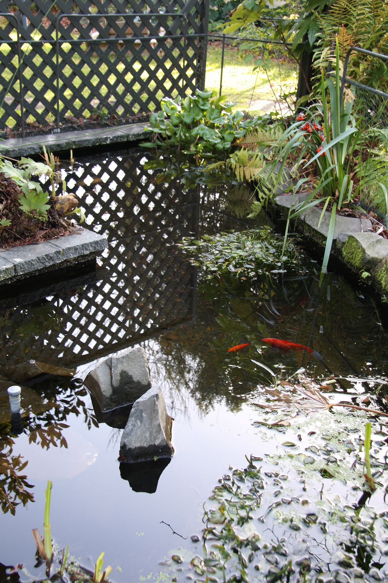 Фото Ashleigh Court Motel