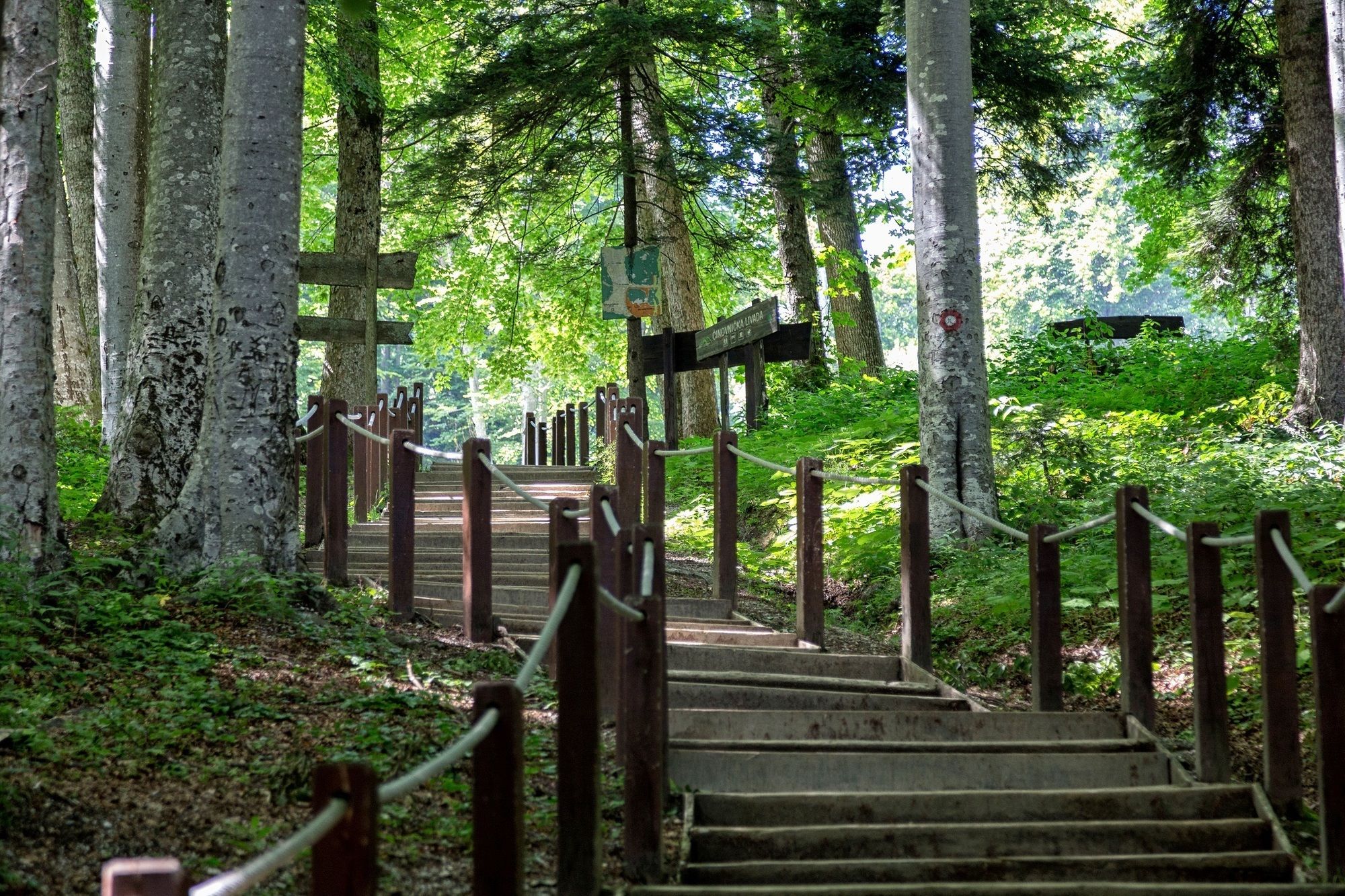 Фото Hotel Tomislavov Dom
