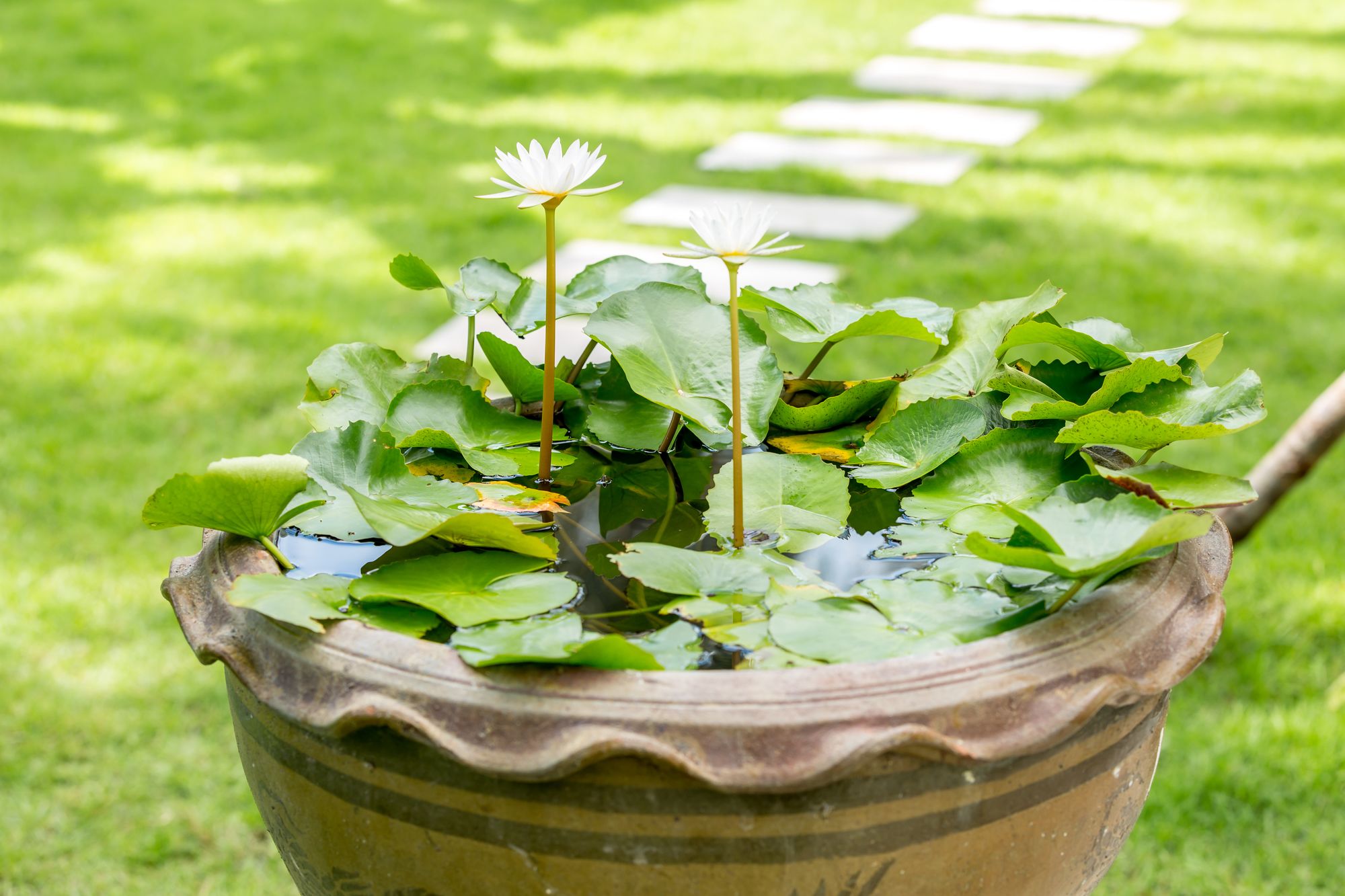 Фото 3-Bedroom Villa Baan Kluay Mai with Private Pool