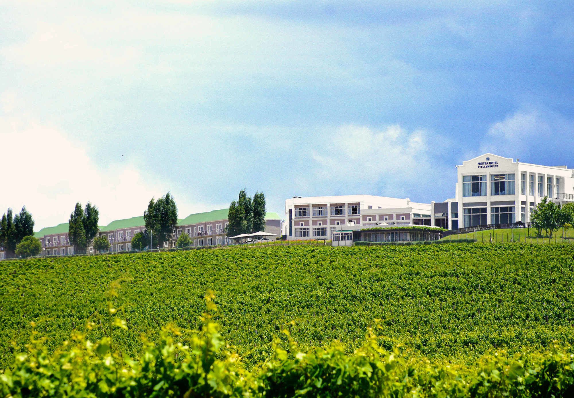 Фото Protea Hotel Stellenbosch
