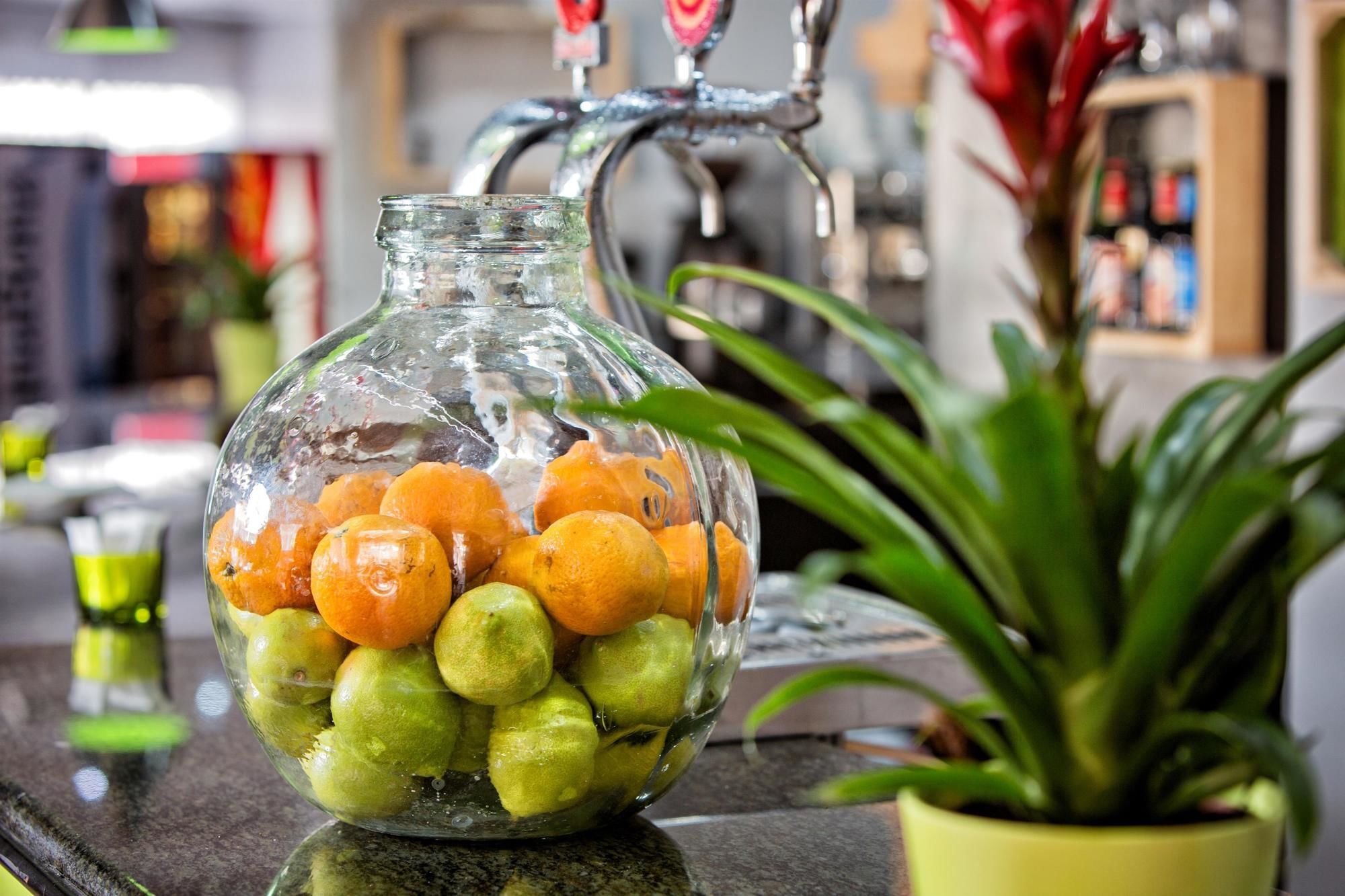 Фото Hotel Yit Ciudad de Elche