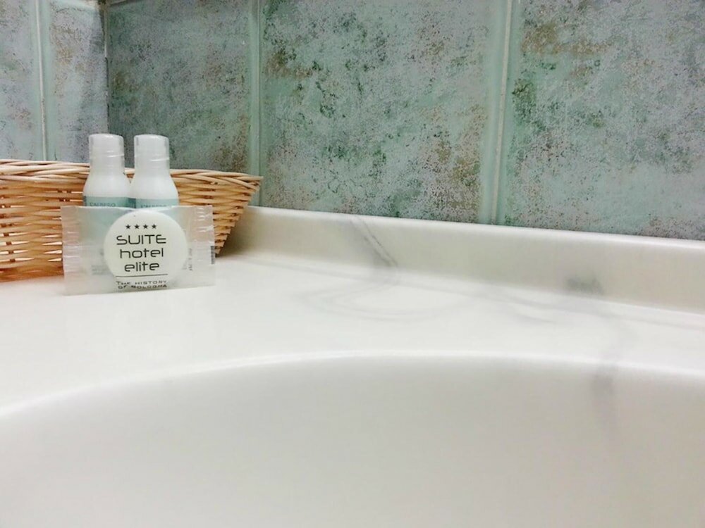 Фото Suite Hotel Elite