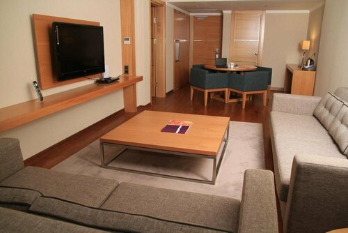 Гостиница Anemon Ordu Hotel в Алтынорду