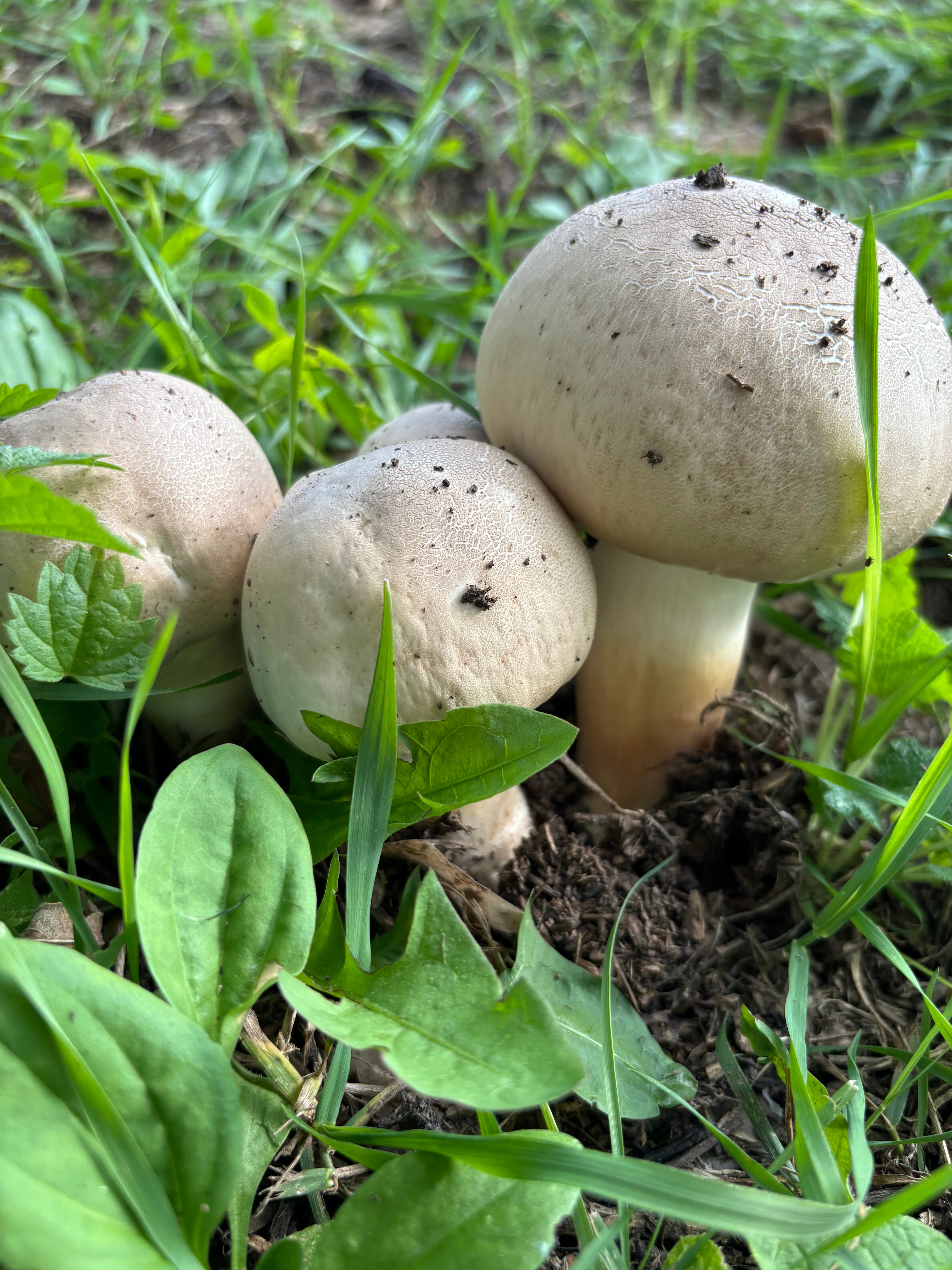 Фото КраснаДача