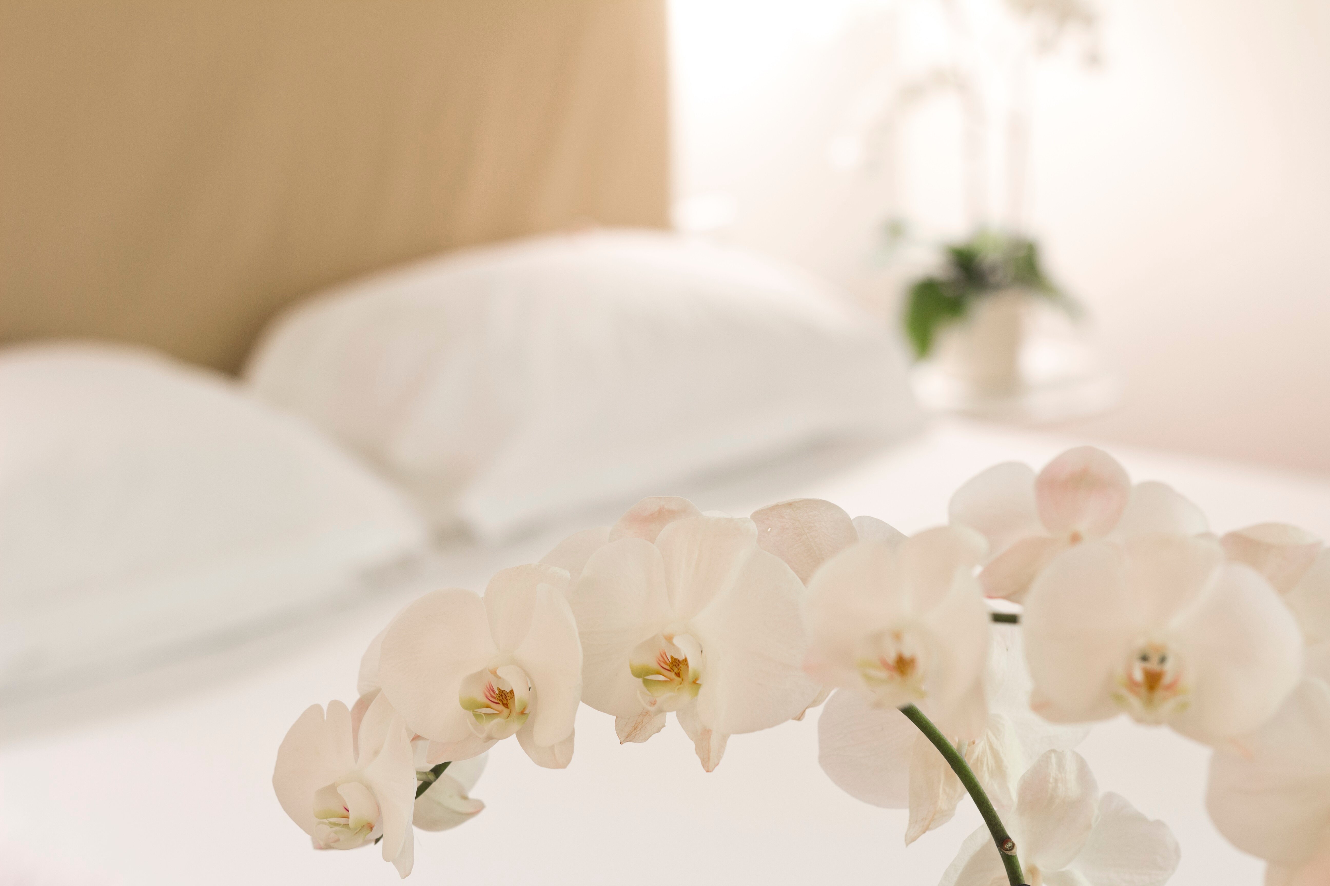 Фото Апарт-отель Residence Hilda