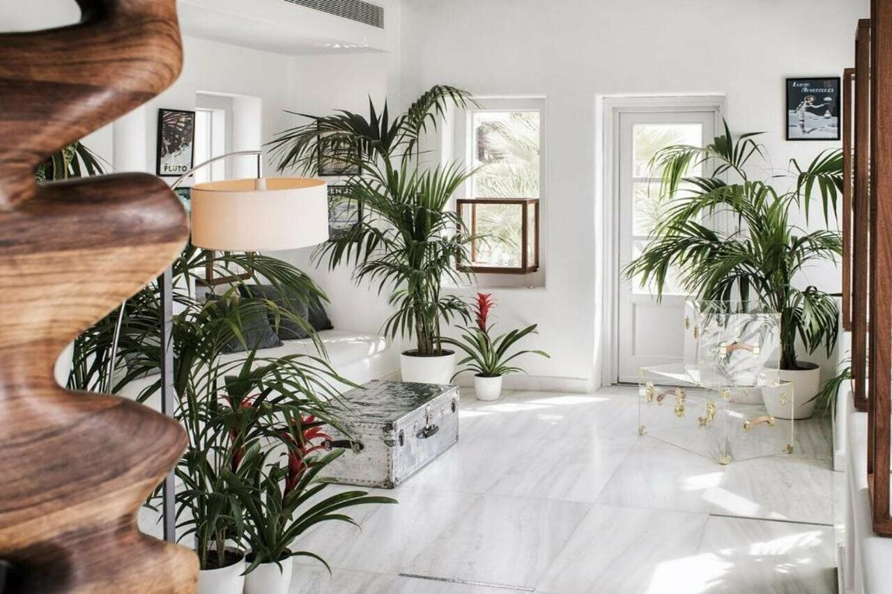 Фото Belvedere Hotel Mykonos