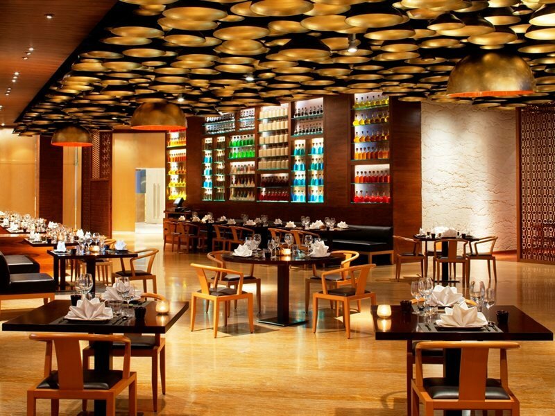 Фото Radisson Blu Hotel, New Delhi Dwarka