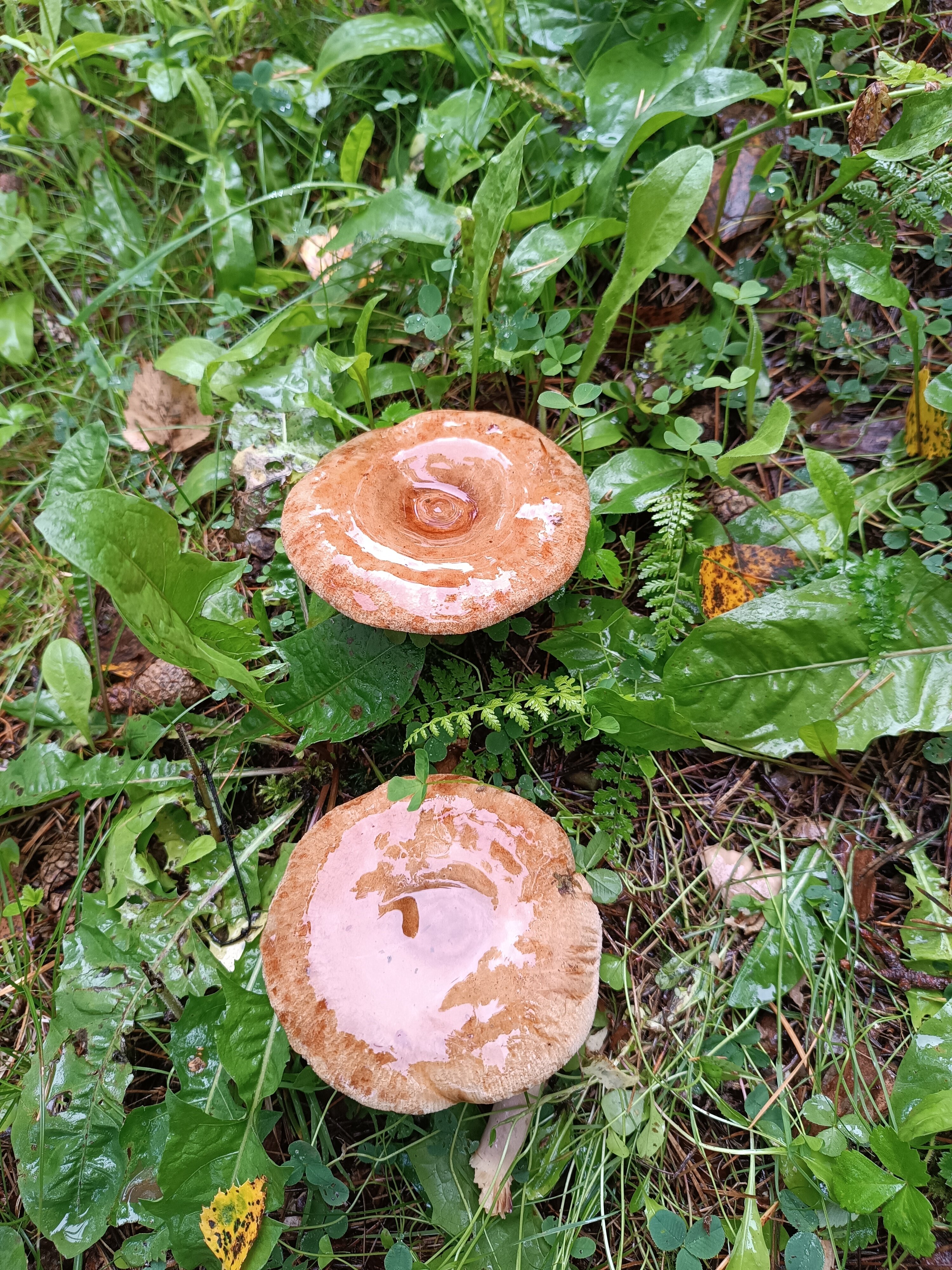 Фото Заимка Речная