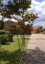 Фото Residence I Triangoli