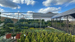 Moscow Oasis (Matchino Village, Novoe Matchino Cottage Settlement, 10), centro de jardinería