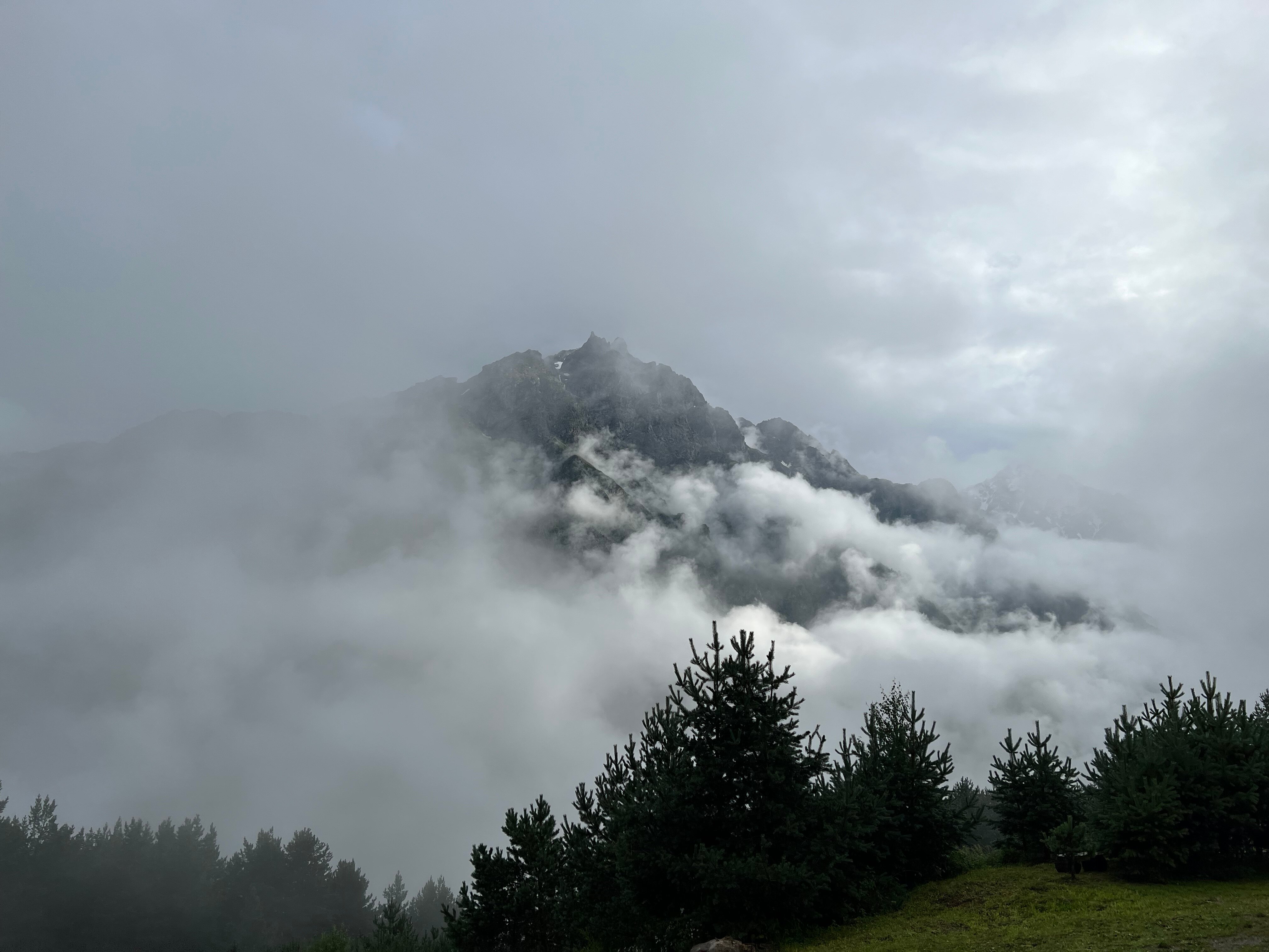 Фото Guest House 1950