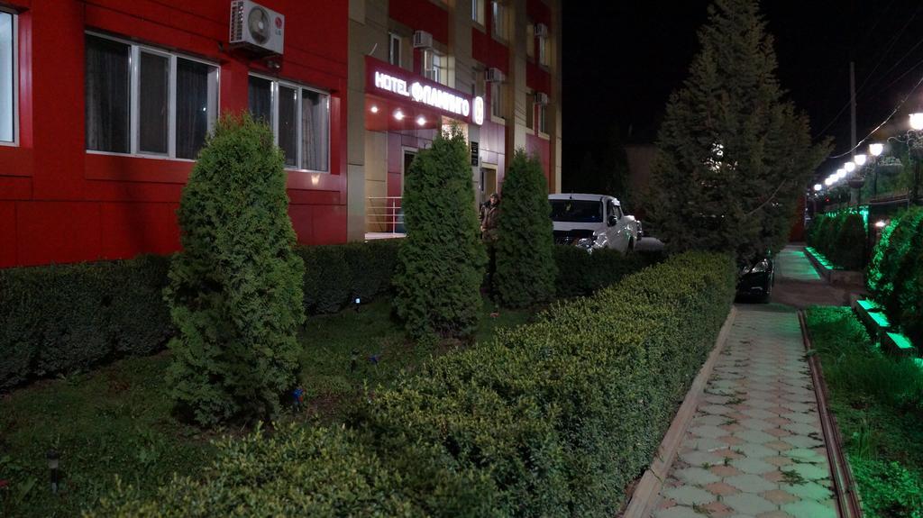 Фото Фламинго