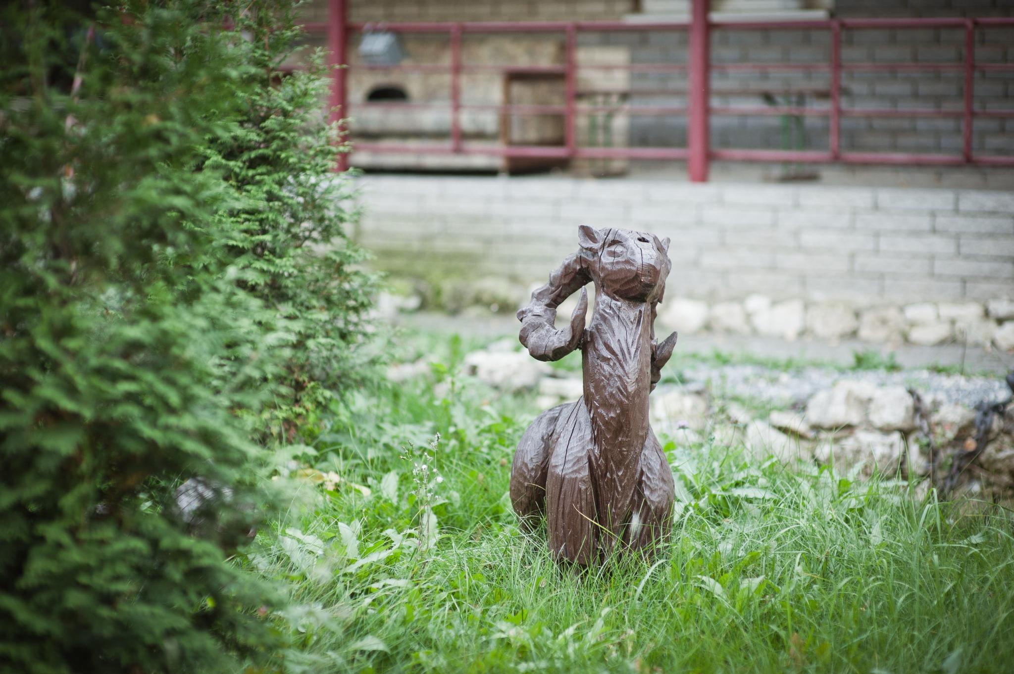 Фото Деловой клуб